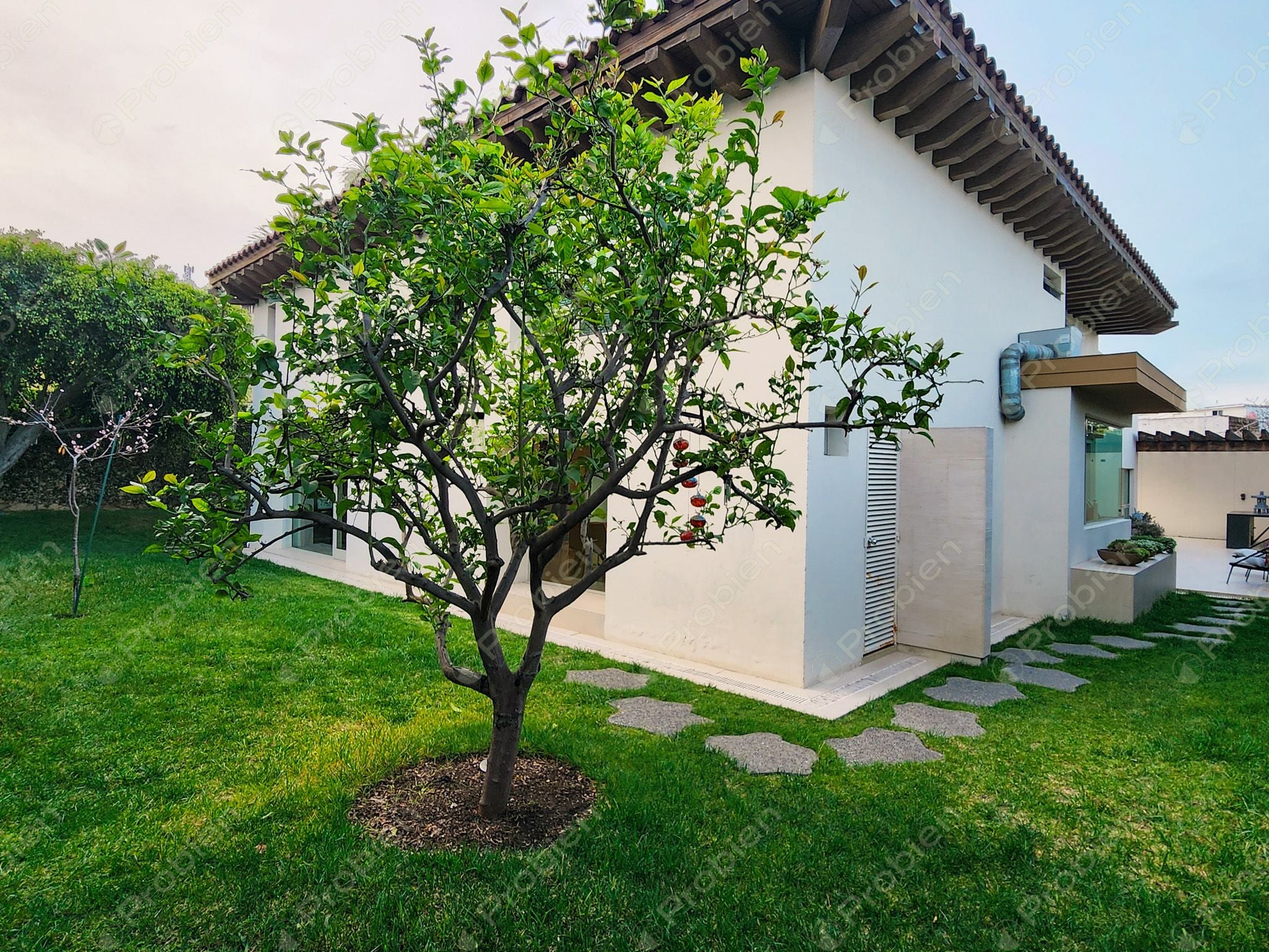 Casa en renta en Lomas de Agua Caliente, residencia de lujo con amplios espacios en Tijuana - Foto 14 de 34