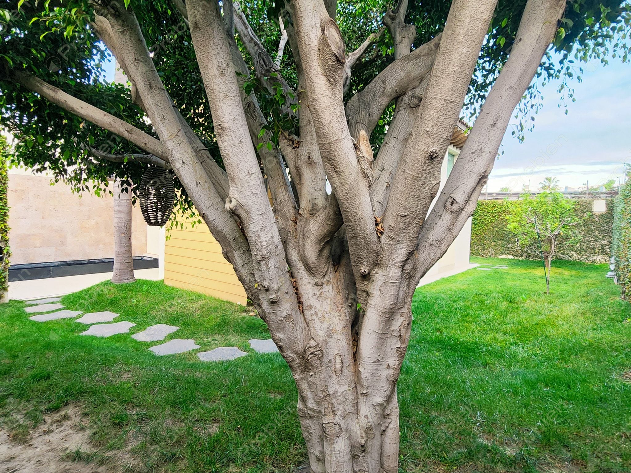 Casa en renta en Lomas de Agua Caliente, residencia de lujo con amplios espacios en Tijuana - Foto 15 de 34