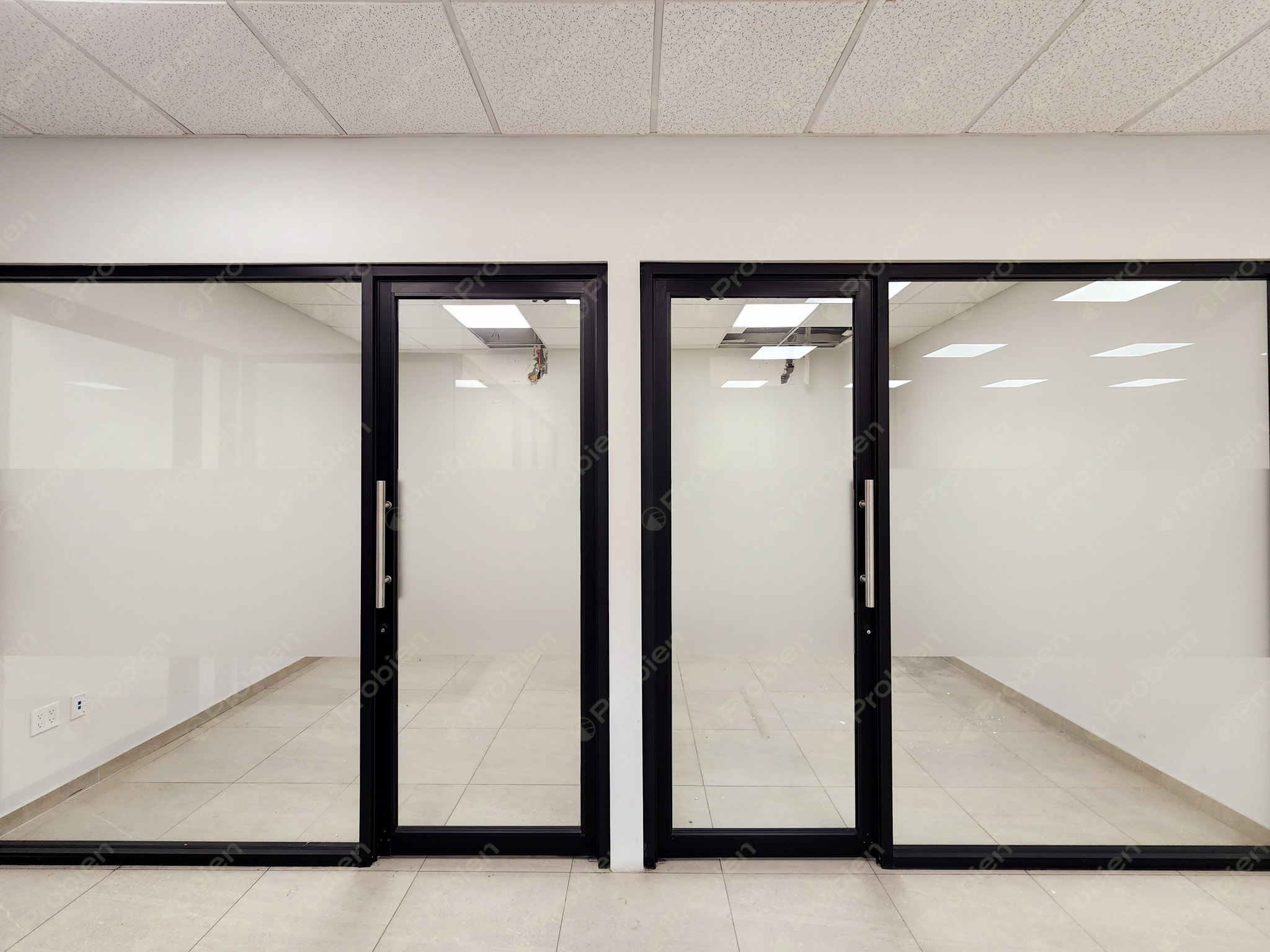 Local Comercial en Renta – Excelente Ubicación en Plaza Domino - Foto 5 de 14