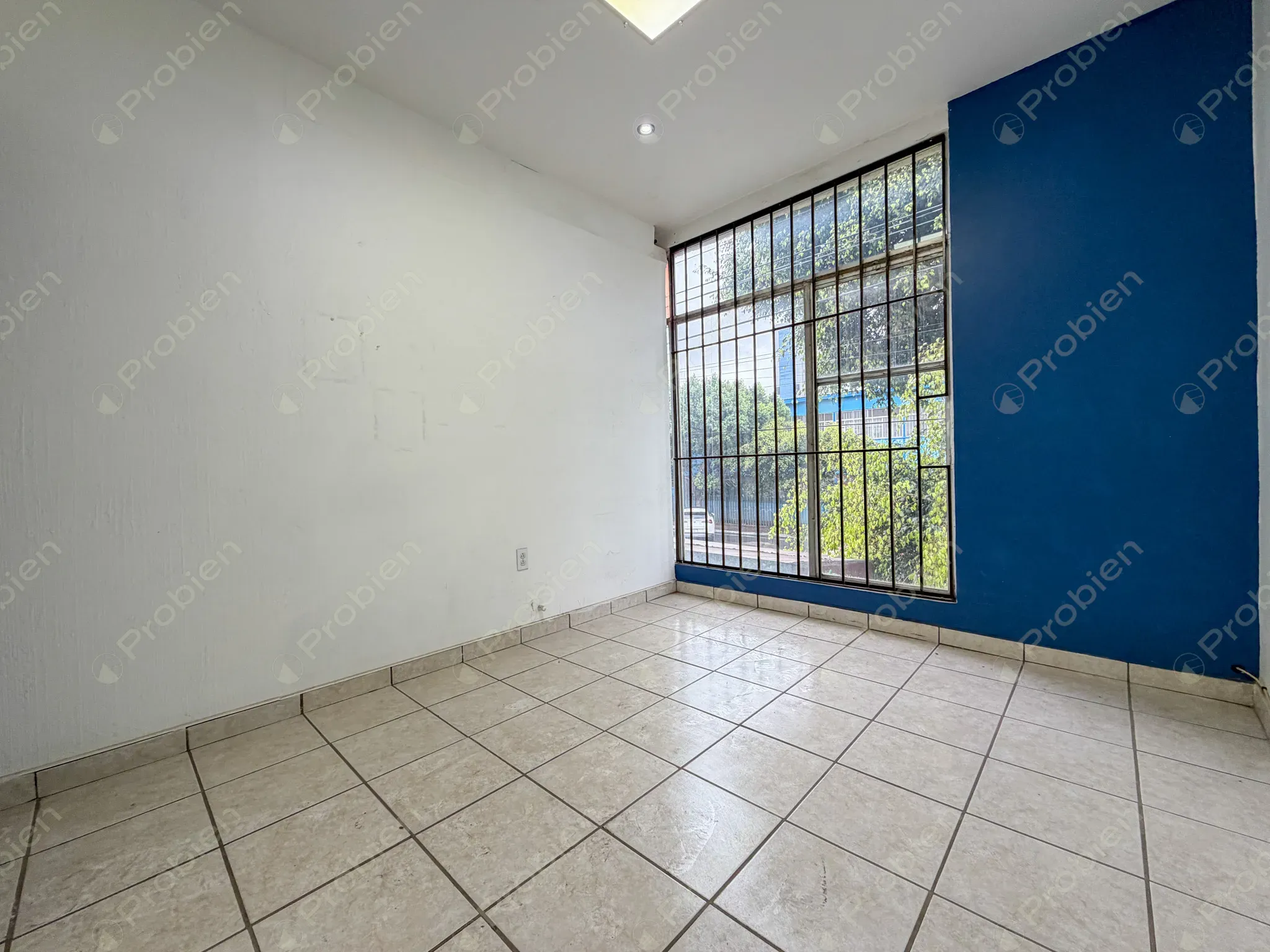 Oficinas o consultorios en renta en Calle Cuarta Díaz Mirón, Zona Centro de Tijuana - Foto 2 de 13