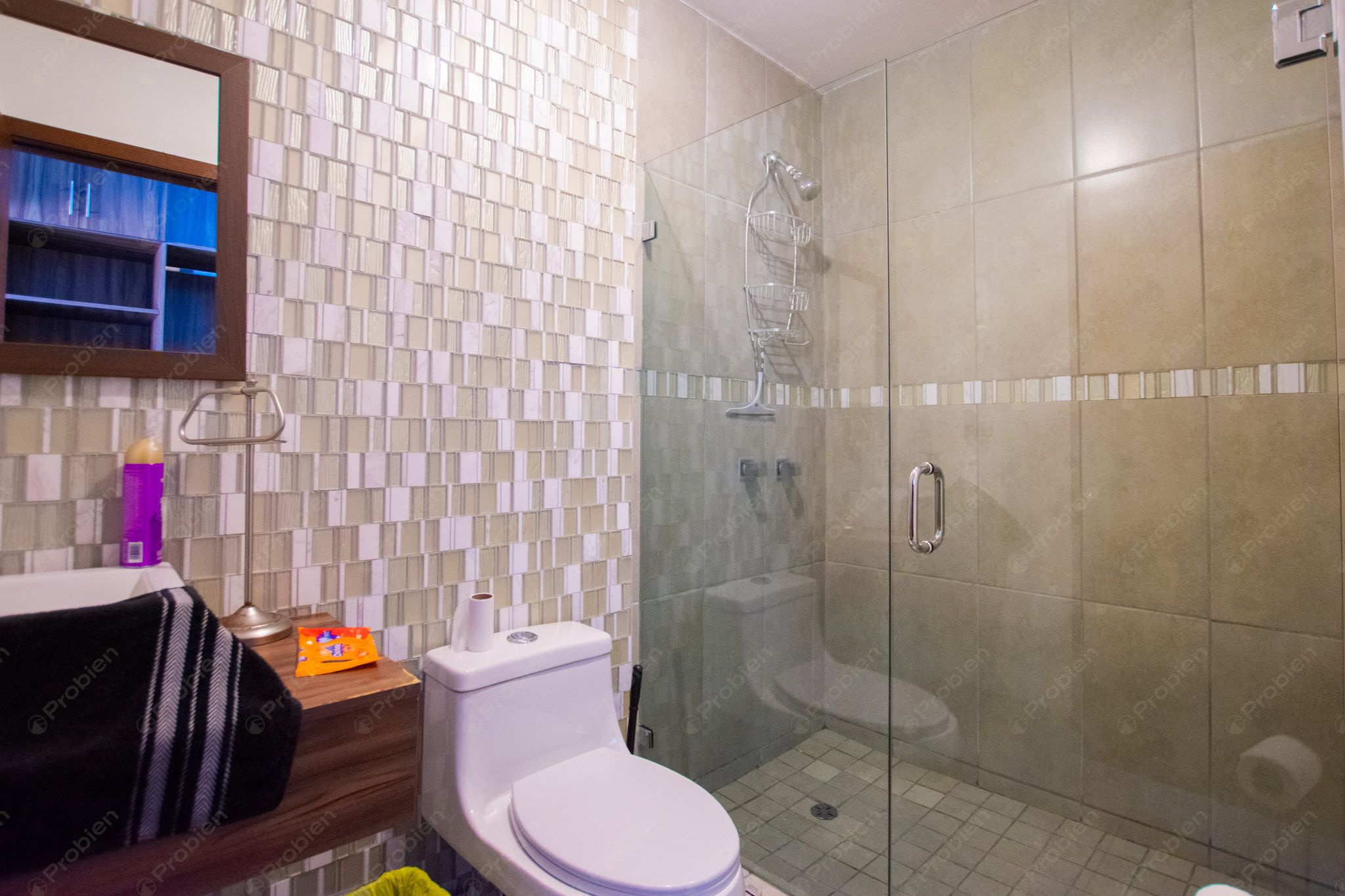 Departamento de Lujo en Renta en Acceso Uno - Totalmente Amueblado con Vista Panorámica - Foto 11 de 16