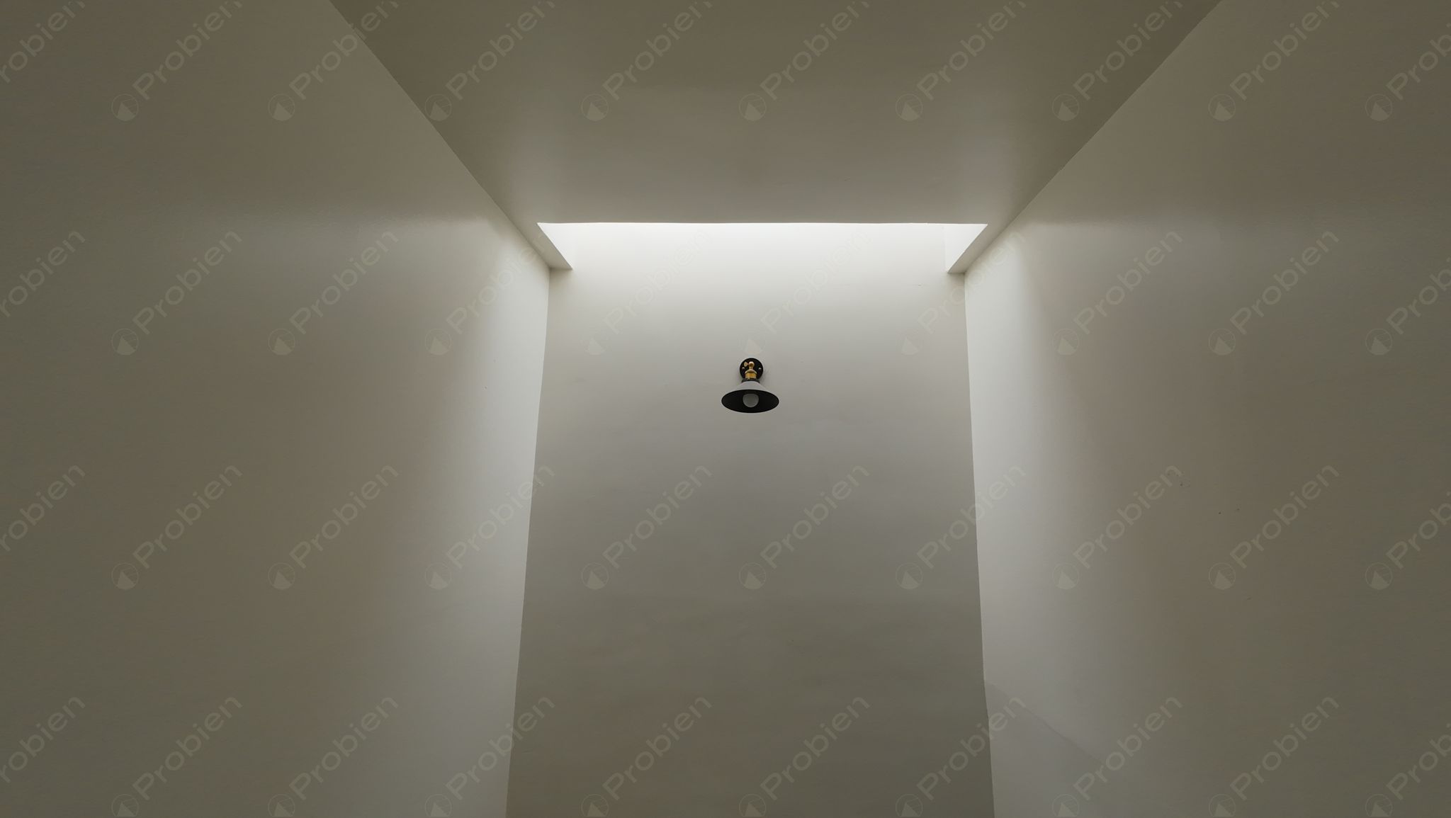 Casa en renta de 3 recámaras en Privada El Lago 19500, con seguridad 24/7 - Foto 5 de 10