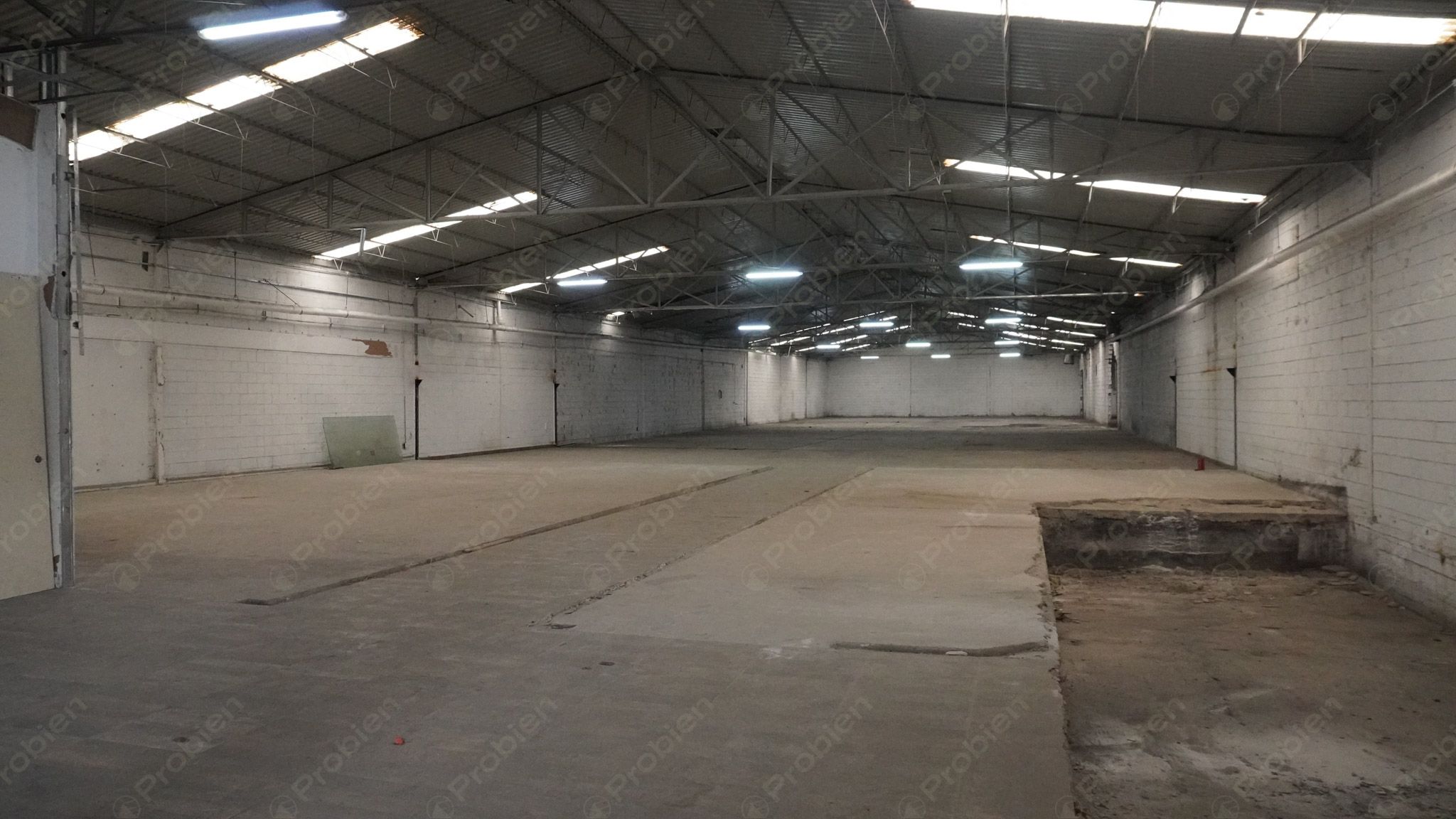 Bodega en renta - Vía rápida y Blvd. Benítez Dos - Foto 4 de 11