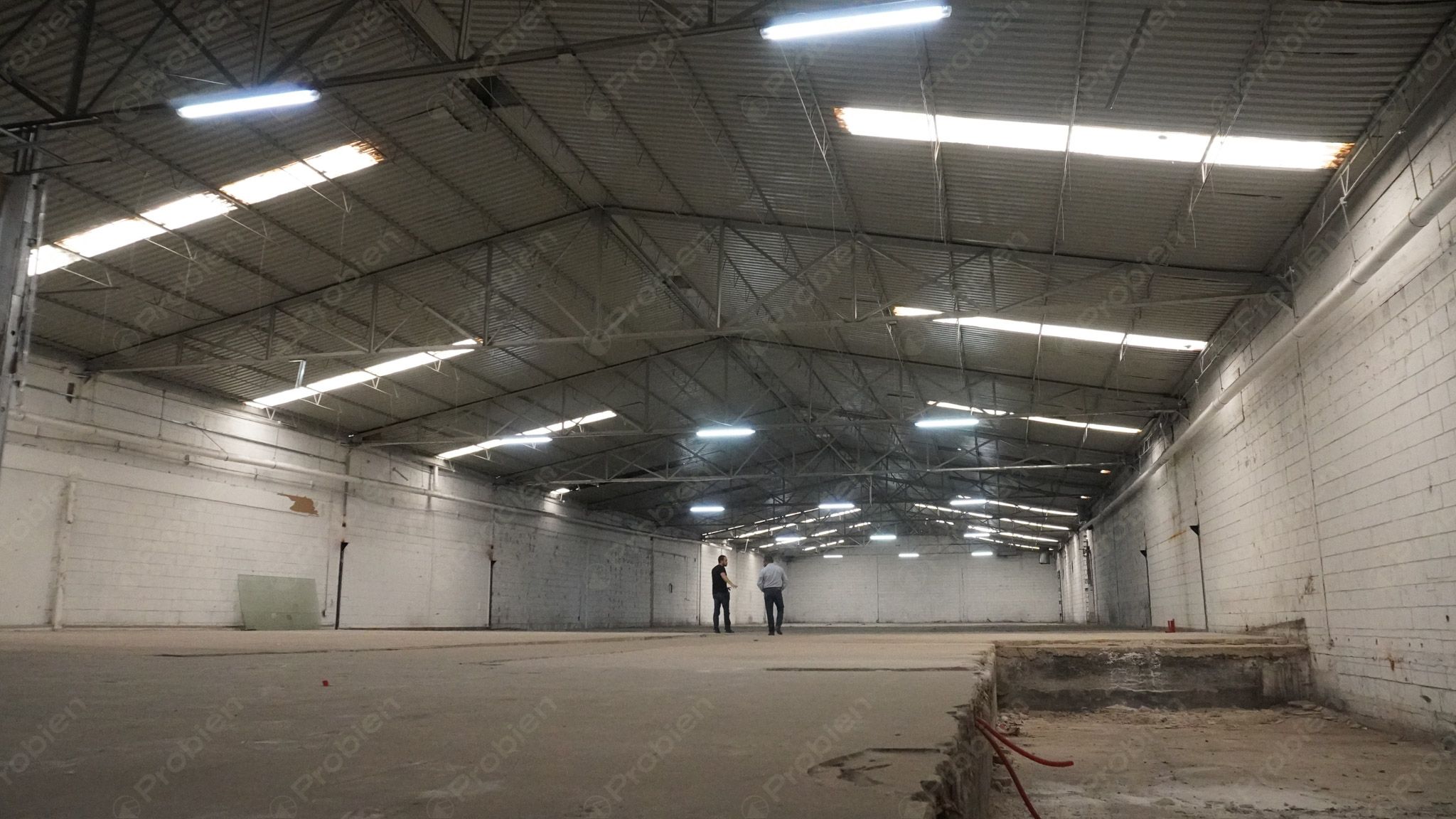 Bodega en renta - Vía rápida y Blvd. Benítez Dos - Foto 7 de 11