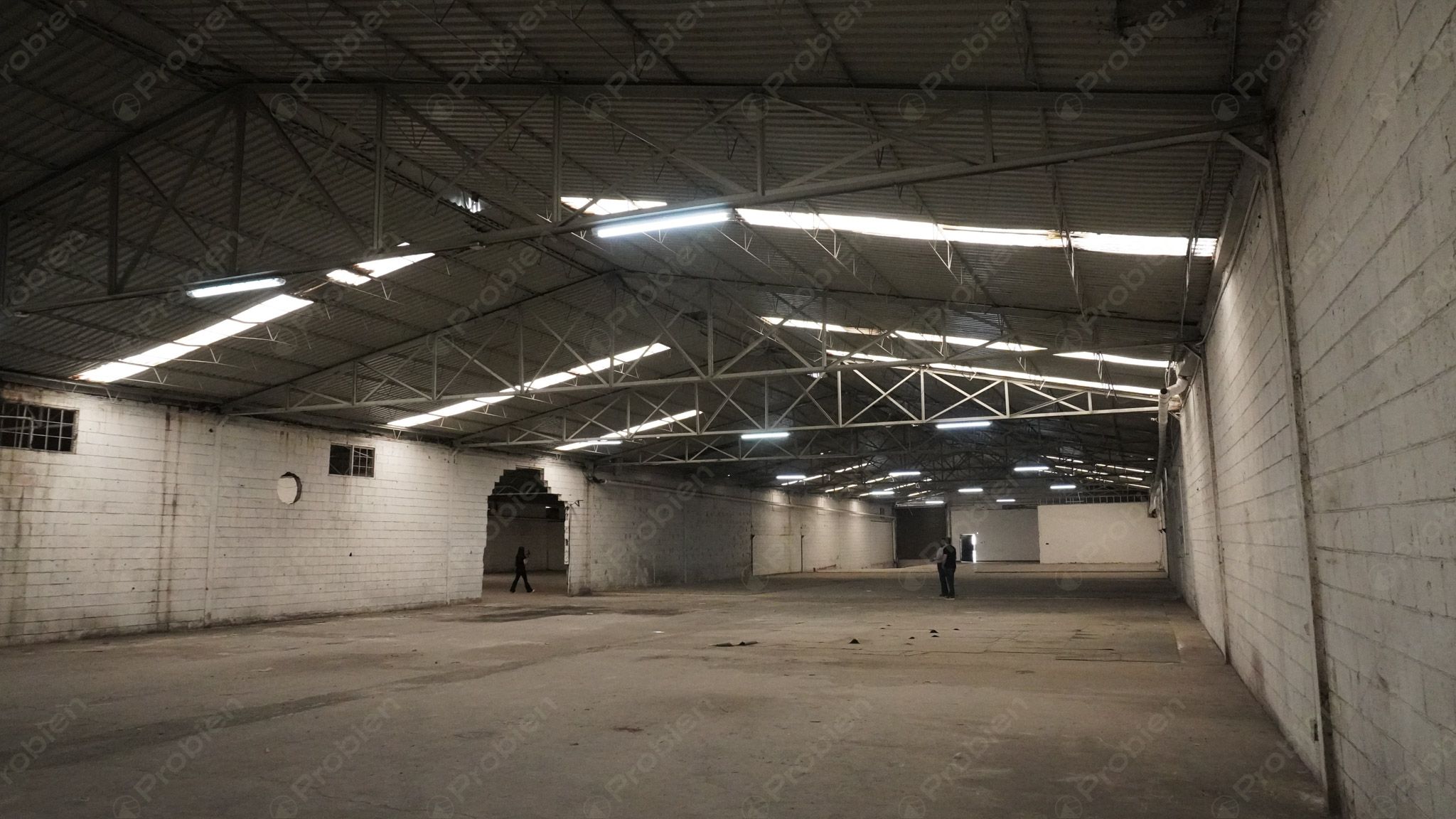 Bodega en renta - Vía rápida y Blvd. Benítez Dos - Foto 9 de 11