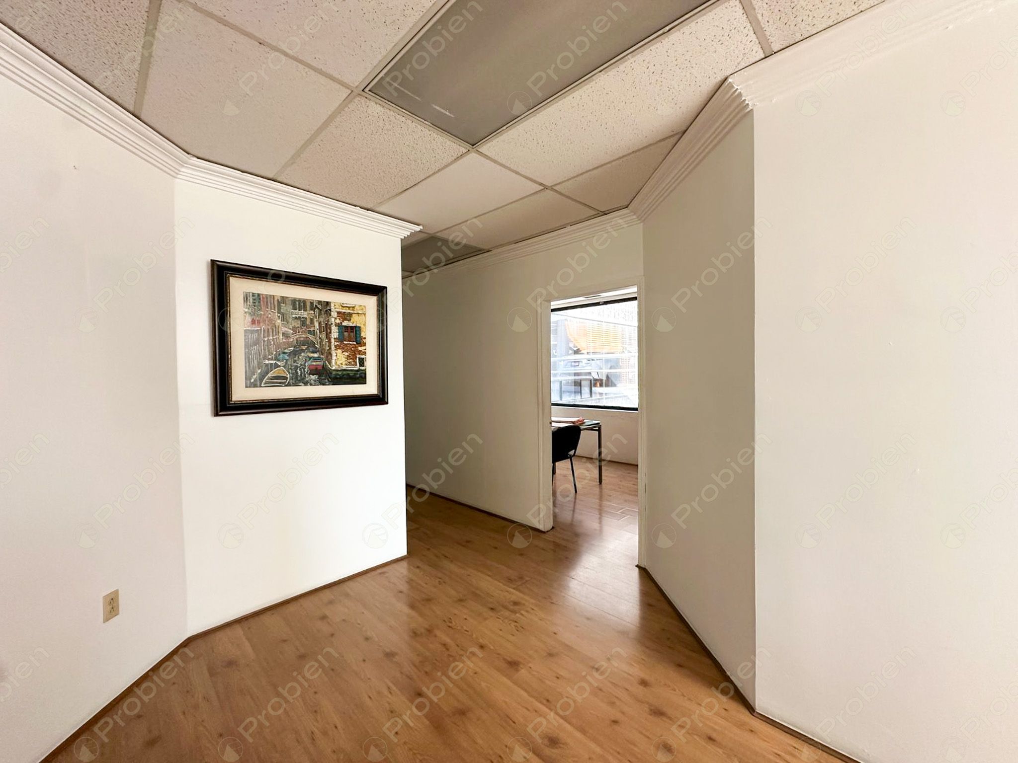 Oficina penthouse en Renta en Zona Río - Ubicación Estratégica cerca de Paseo de los Héroes con vista a la ciudad - Foto 7 de 24