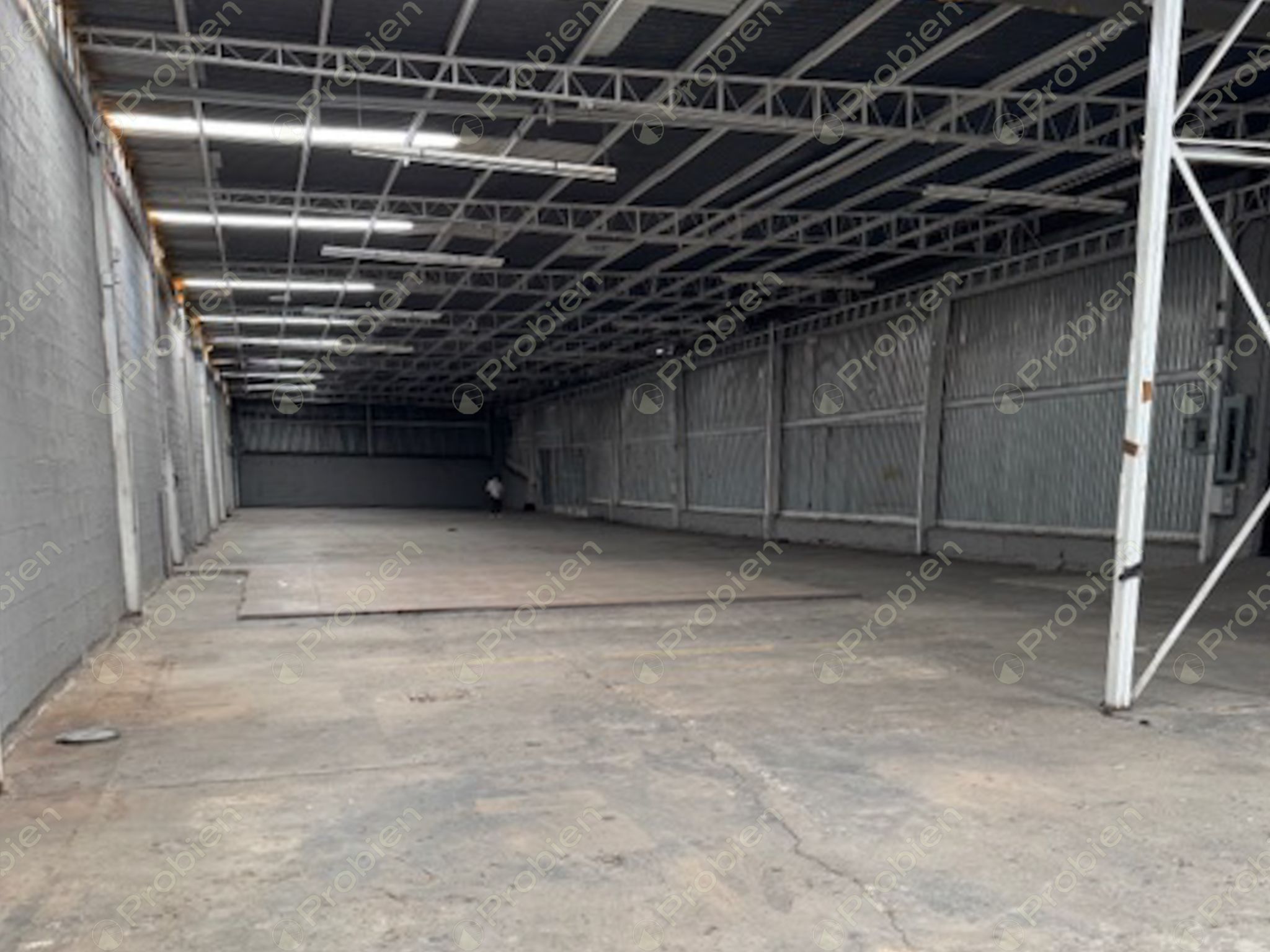 Bodega en Renta de 1,900 m² entre Vía Rápida y Blvd. Benítez - Foto 7 de 11