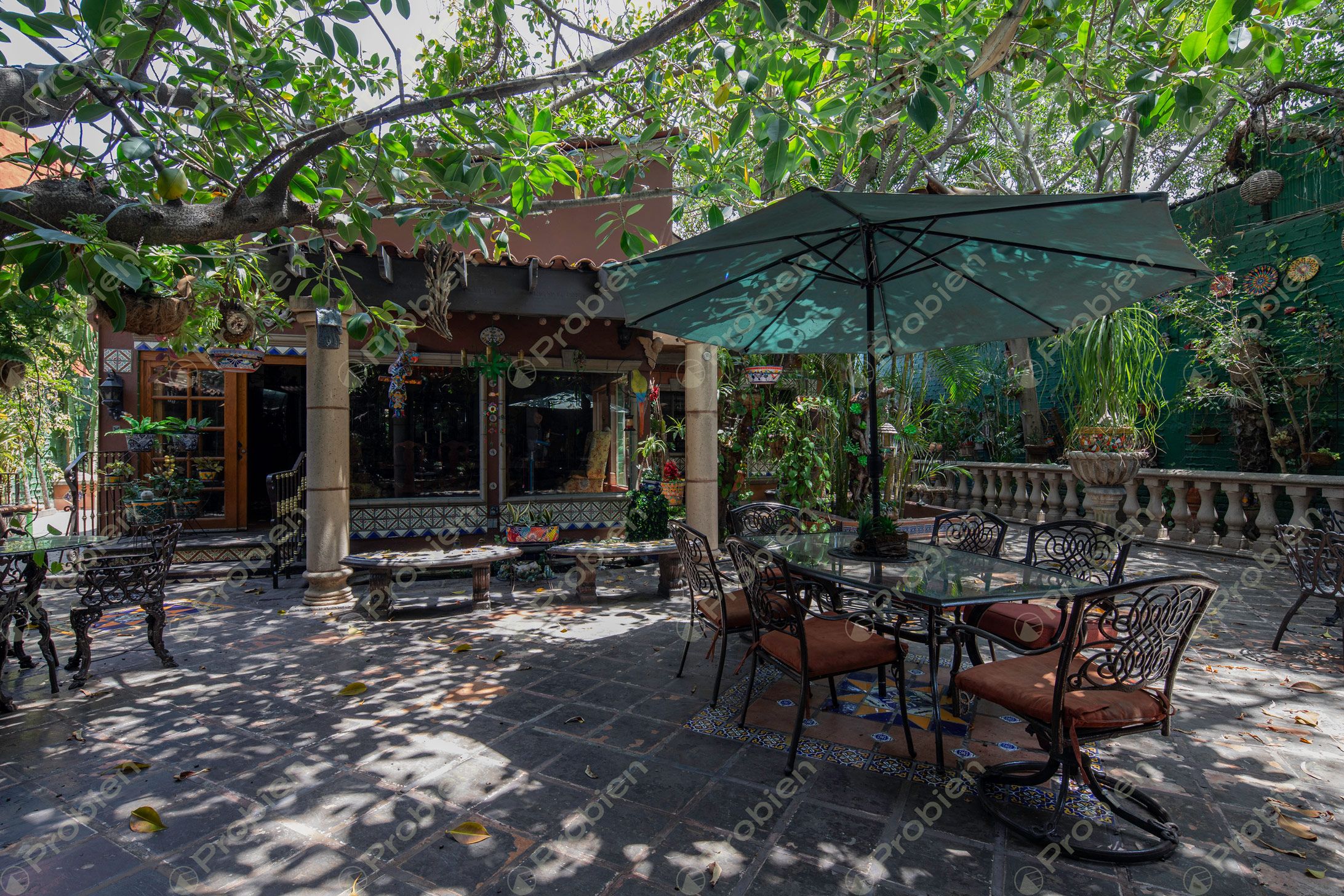 Casa en Renta - Colonia Marron - Foto 10 de 12