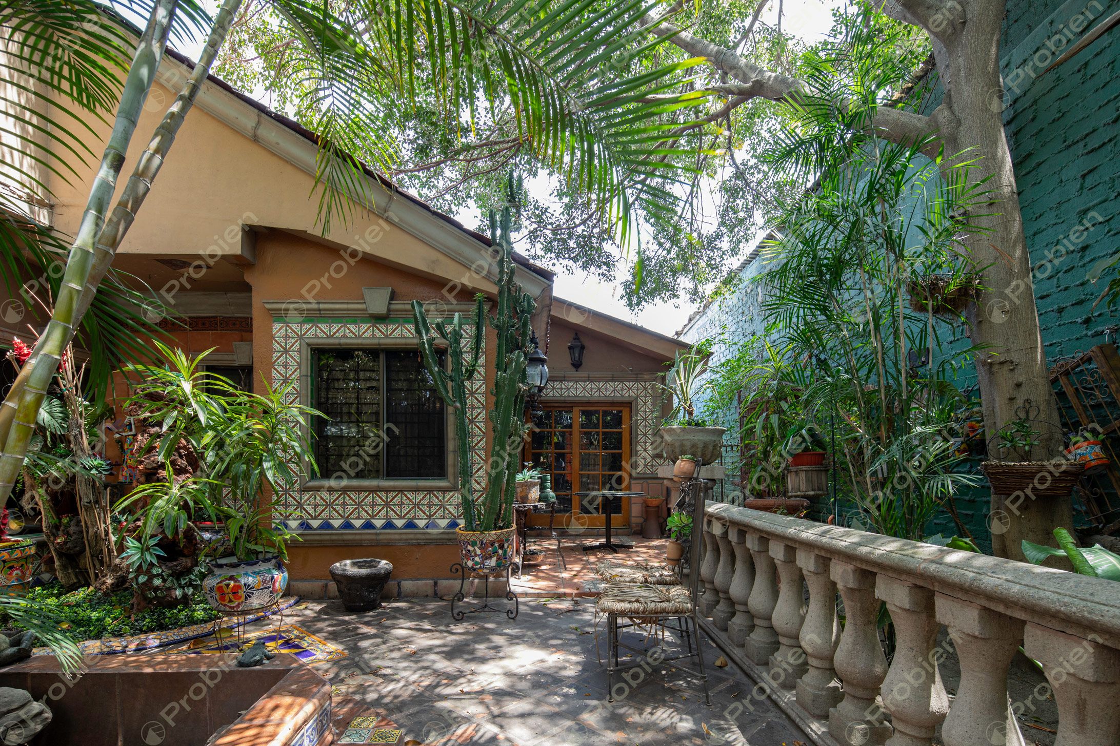 Casa en Renta - Colonia Marron - Foto 11 de 12