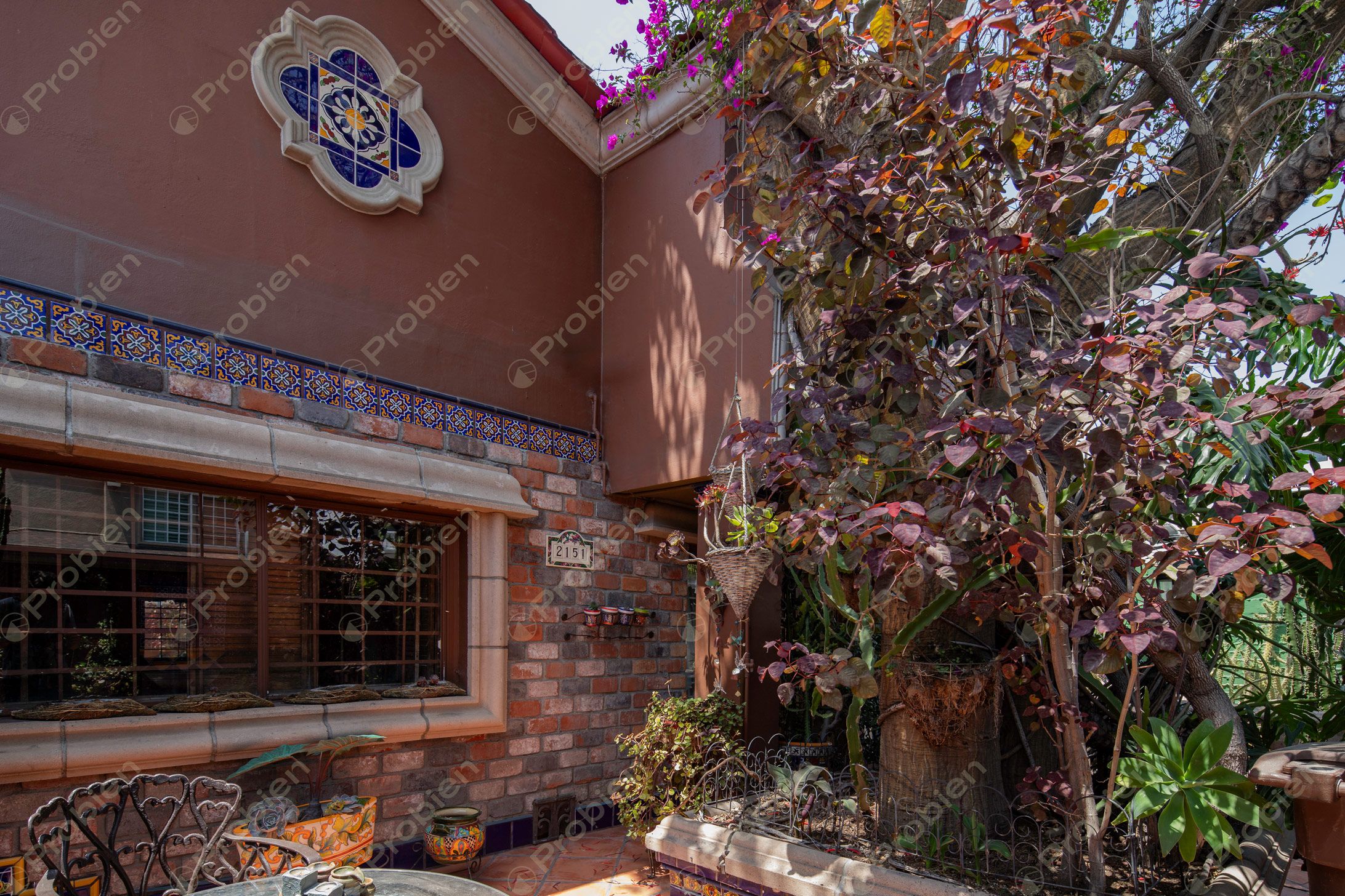 Casa en Renta - Colonia Marron - Foto 12 de 12