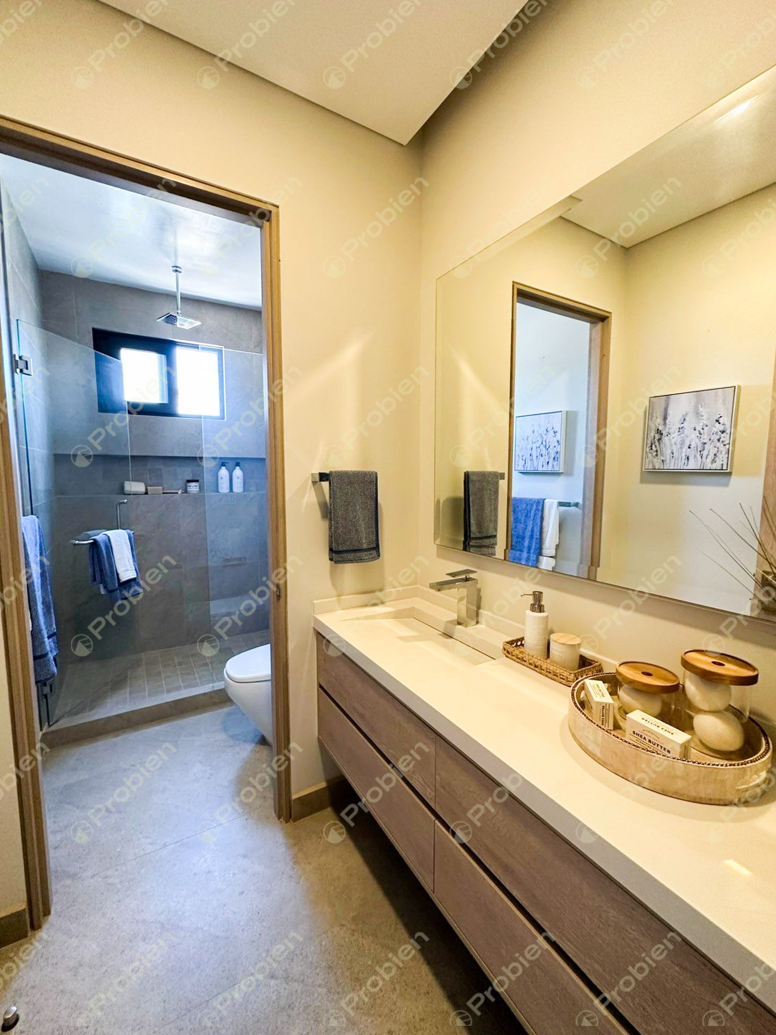 Condominio de Lujo en Renta en Playas de Tijuana Indigo – Frente al Mar con Amenidades Exclusivas - Foto 9 de 25