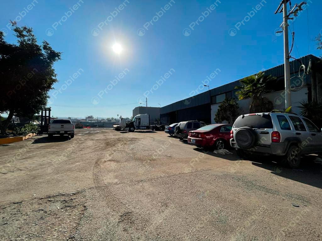 TERRENO EN RENTA COMPLETA O PARCIAL – 10,000 m² EN LA COLONIA 20 DE NOVIEMBRE - Foto 2 de 12