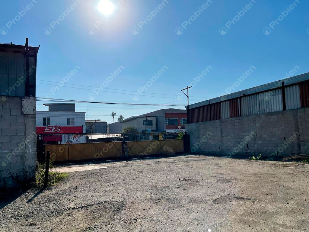 TERRENO EN RENTA COMPLETA O PARCIAL – 10,000 m² EN LA COLONIA 20 DE NOVIEMBRE - Foto 6 de 12