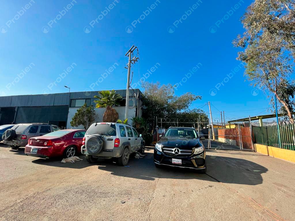 TERRENO EN RENTA COMPLETA O PARCIAL – 10,000 m² EN LA COLONIA 20 DE NOVIEMBRE - Foto 9 de 12