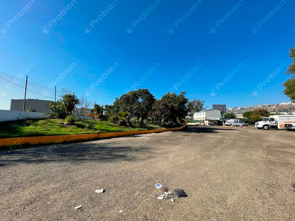 TERRENO EN RENTA COMPLETA O PARCIAL – 10,000 m² EN LA COLONIA 20 DE NOVIEMBRE - Foto 12 de 12