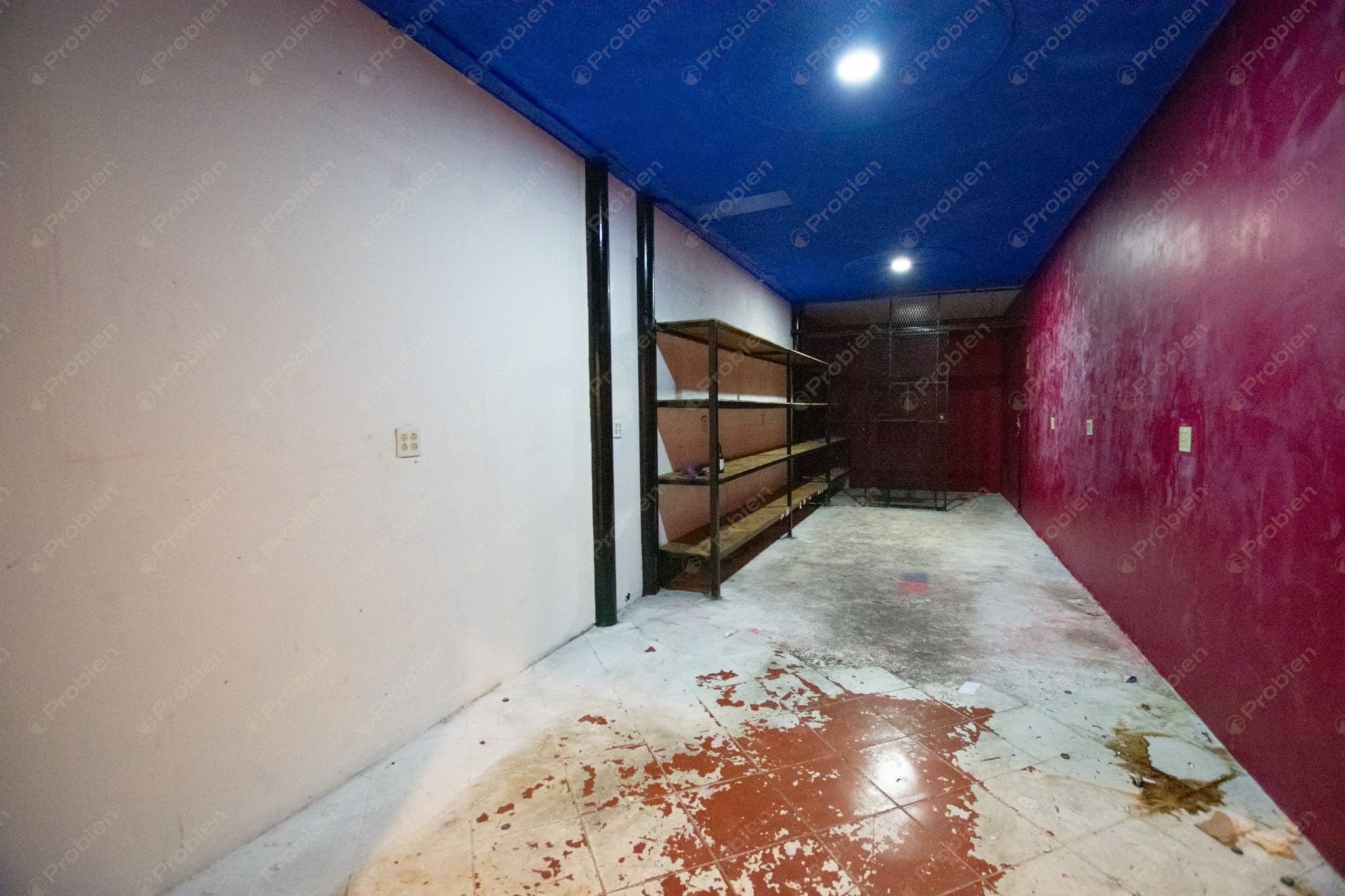 Local Comercial en Renta en El Foro – Zona Centro Tijuana, 980 m² en el Icónico Palacio Jai Alai - Foto 26 de 30