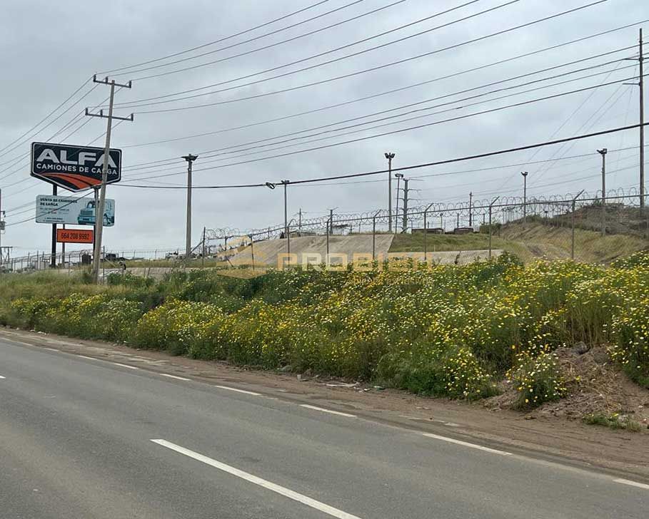Terreno en Renta - Ojo de agua - Foto 4 de 18