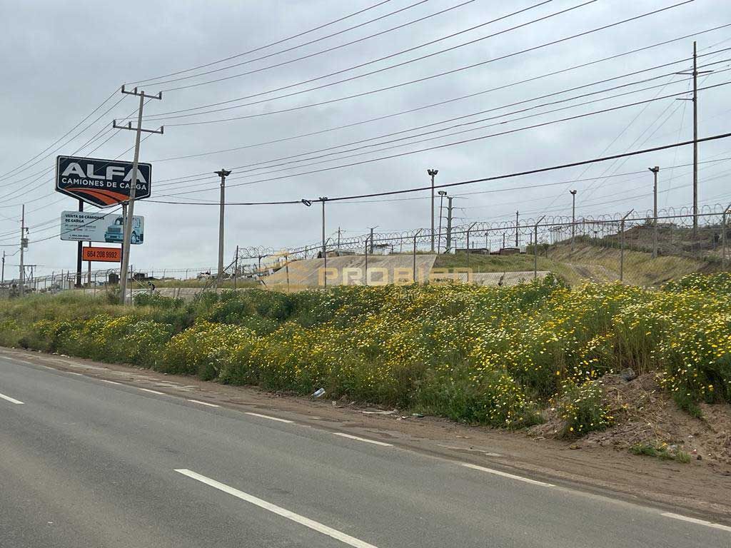 Terreno en Renta - Ojo de agua - Foto 16 de 18