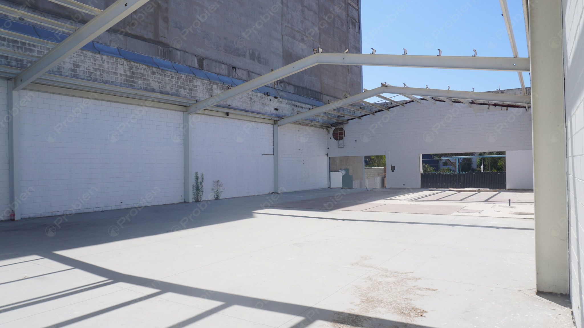 Bodega en Renta en Zona Rio Av Padre Kino - Foto 10 de 15