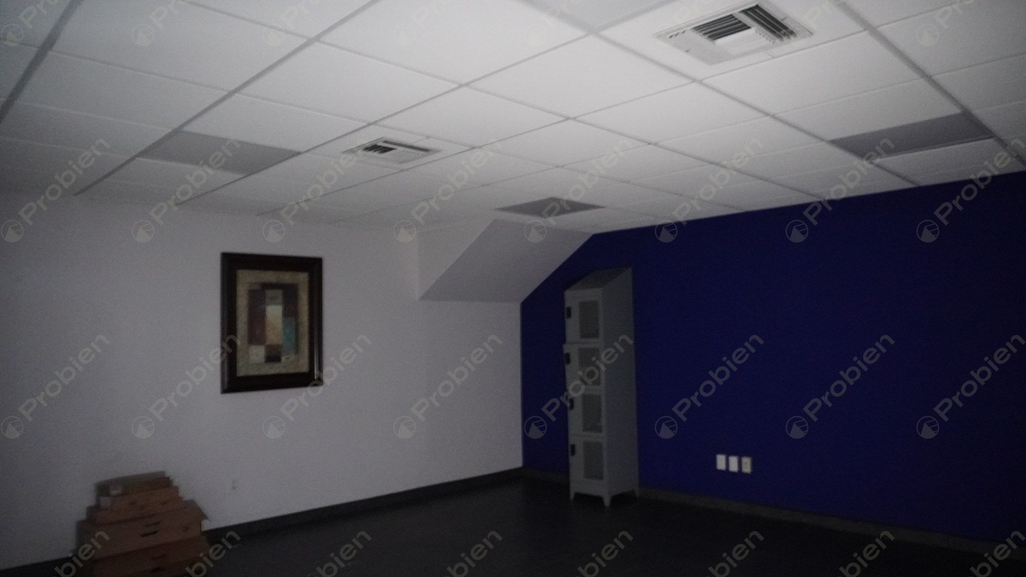 Local Comercial en Renta - En Zona Rio - Foto 8 de 23