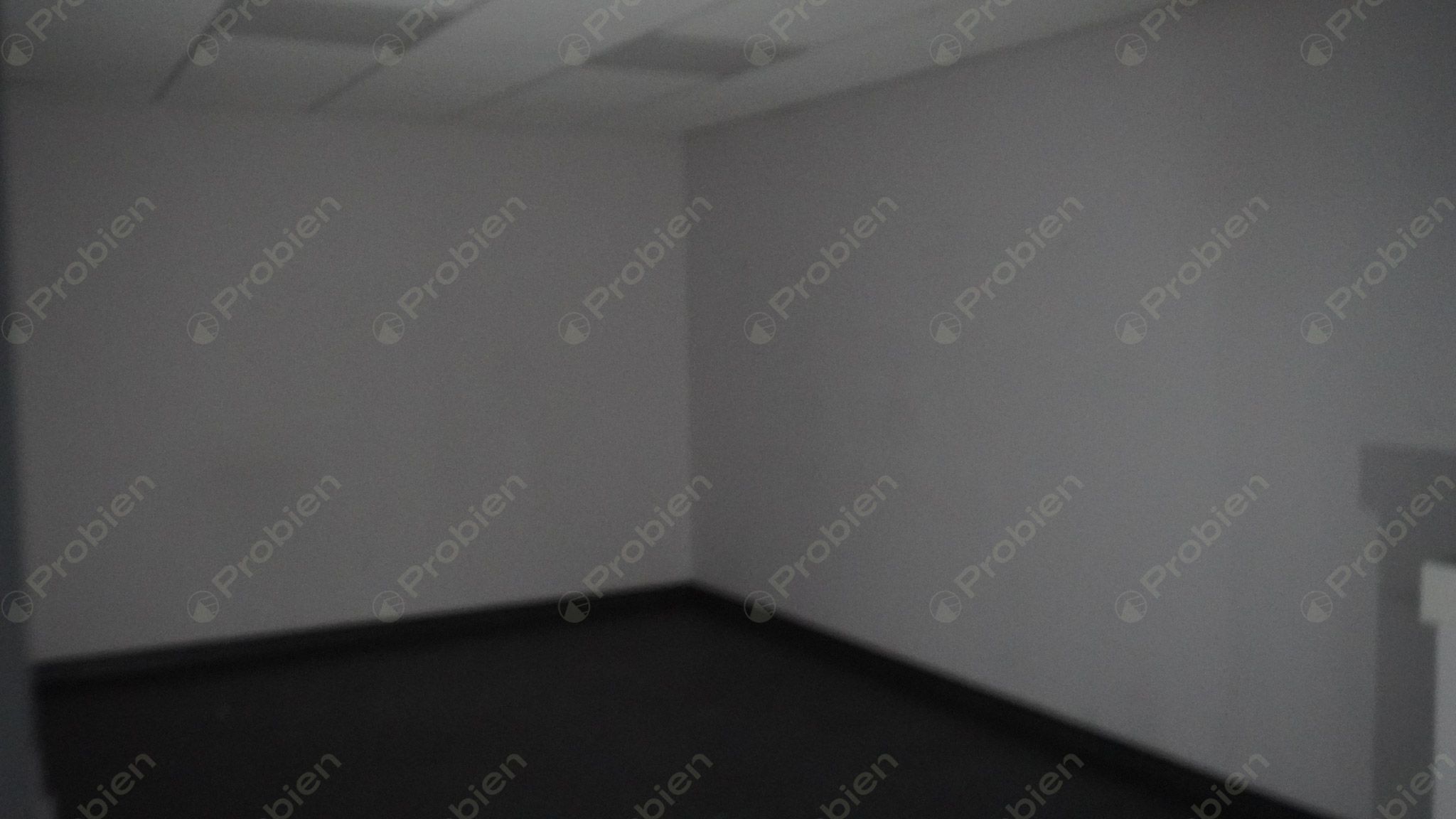 Local Comercial en Renta - En Zona Rio - Foto 9 de 23