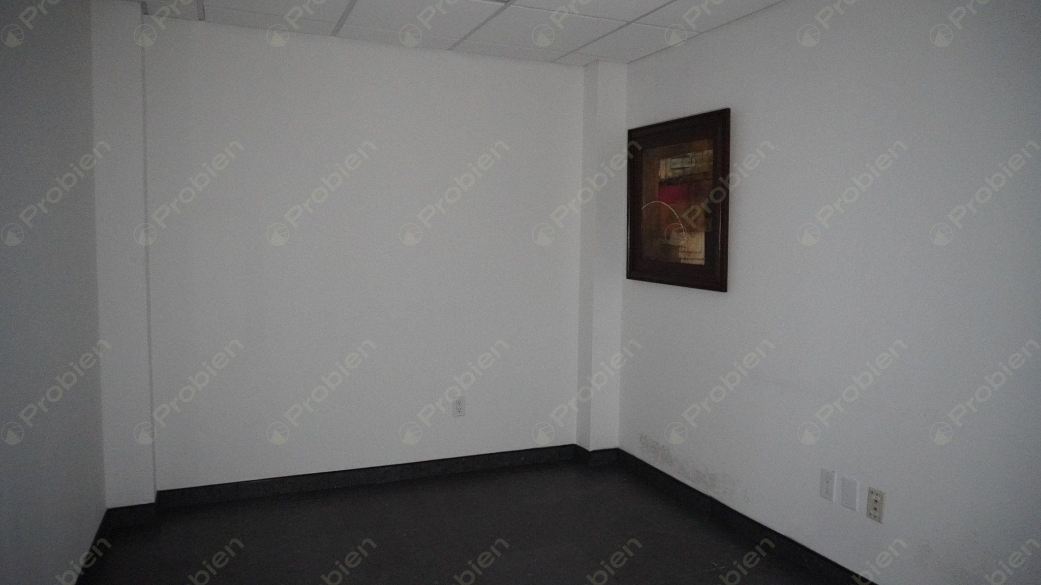 Local Comercial en Renta - En Zona Rio - Foto 20 de 23