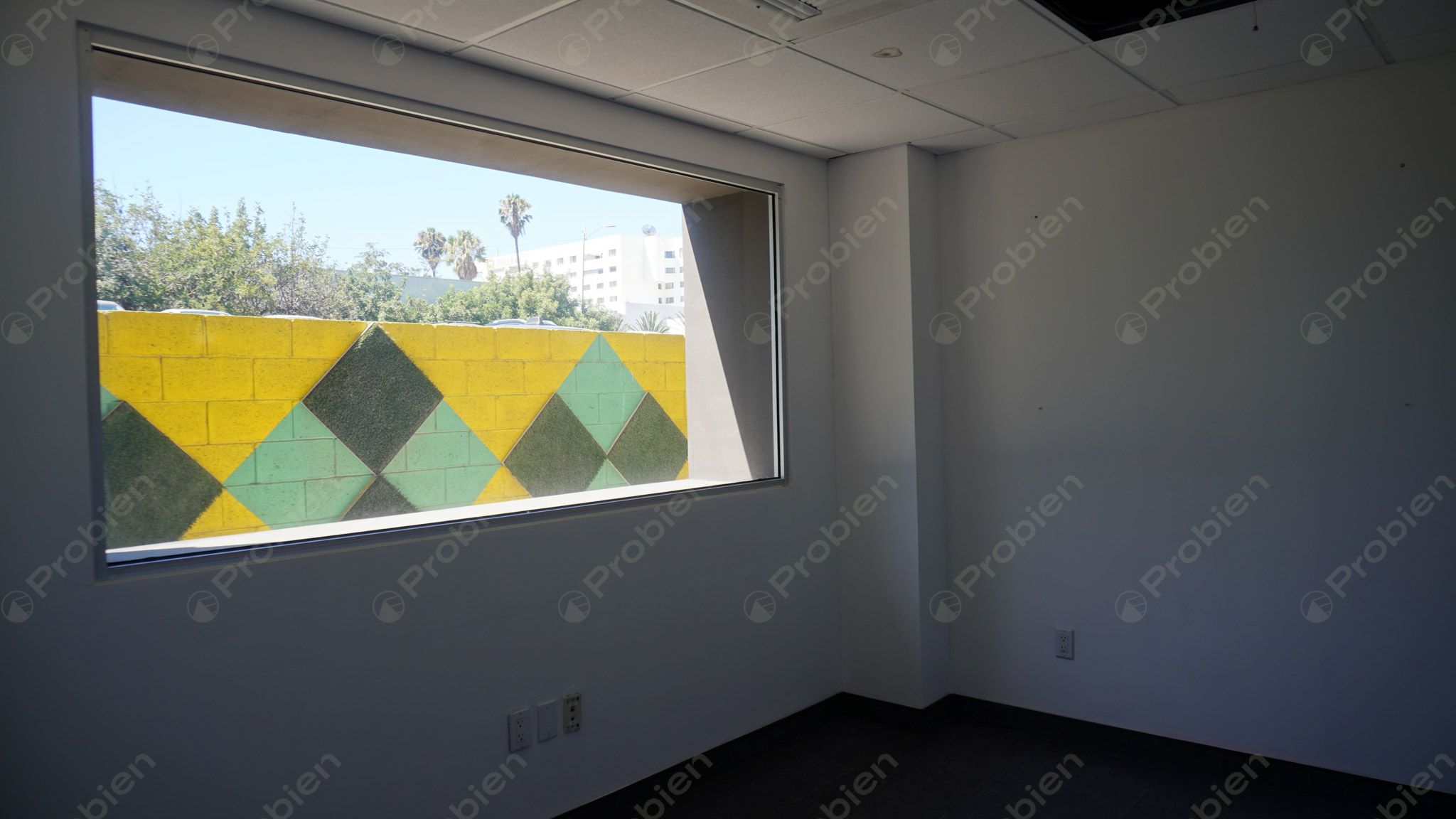 Local Comercial en Renta - En Zona Rio - Foto 22 de 23