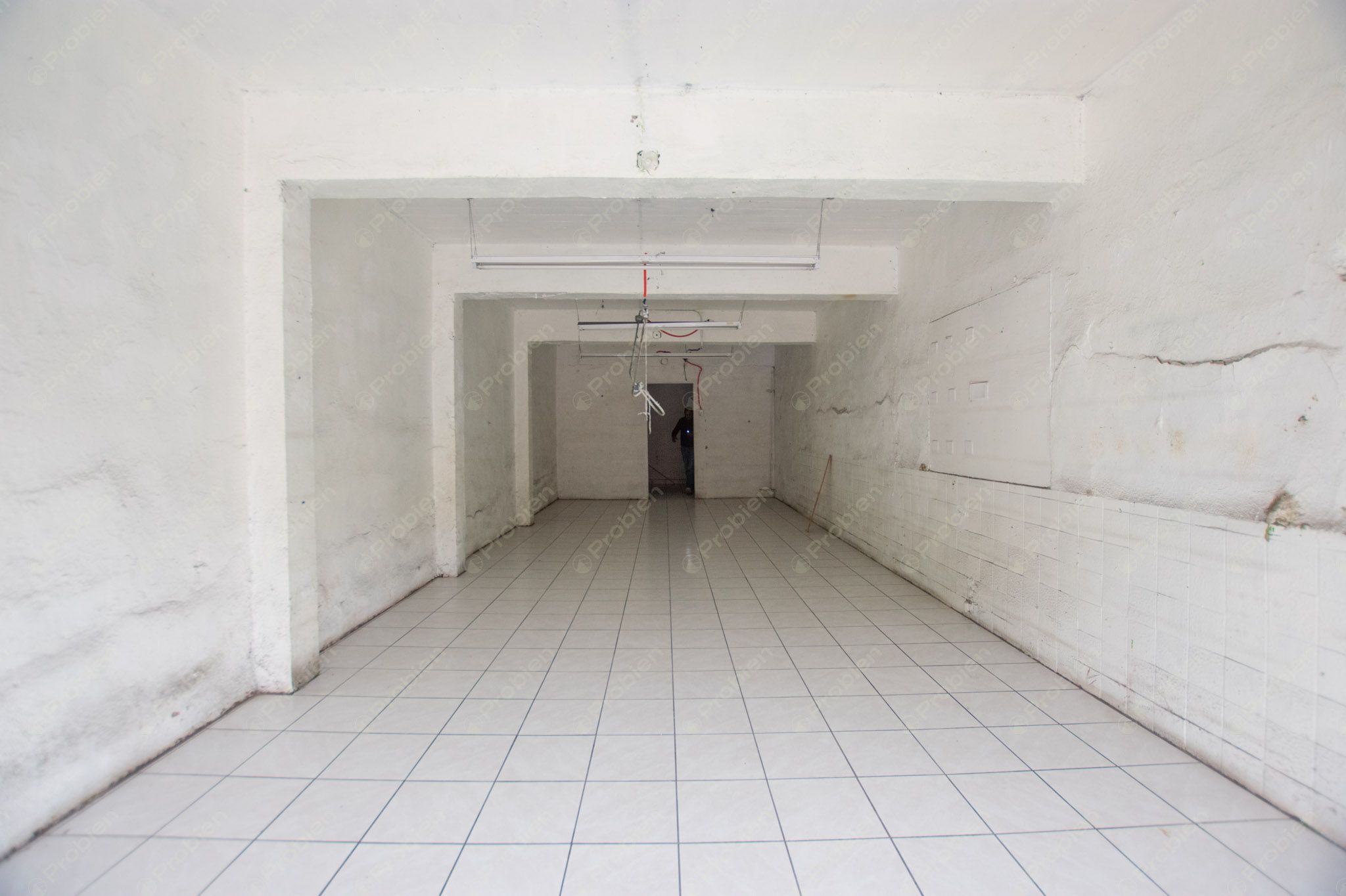 Local Comercial en Renta en Zona Centro - 214 m² - Foto 6 de 19