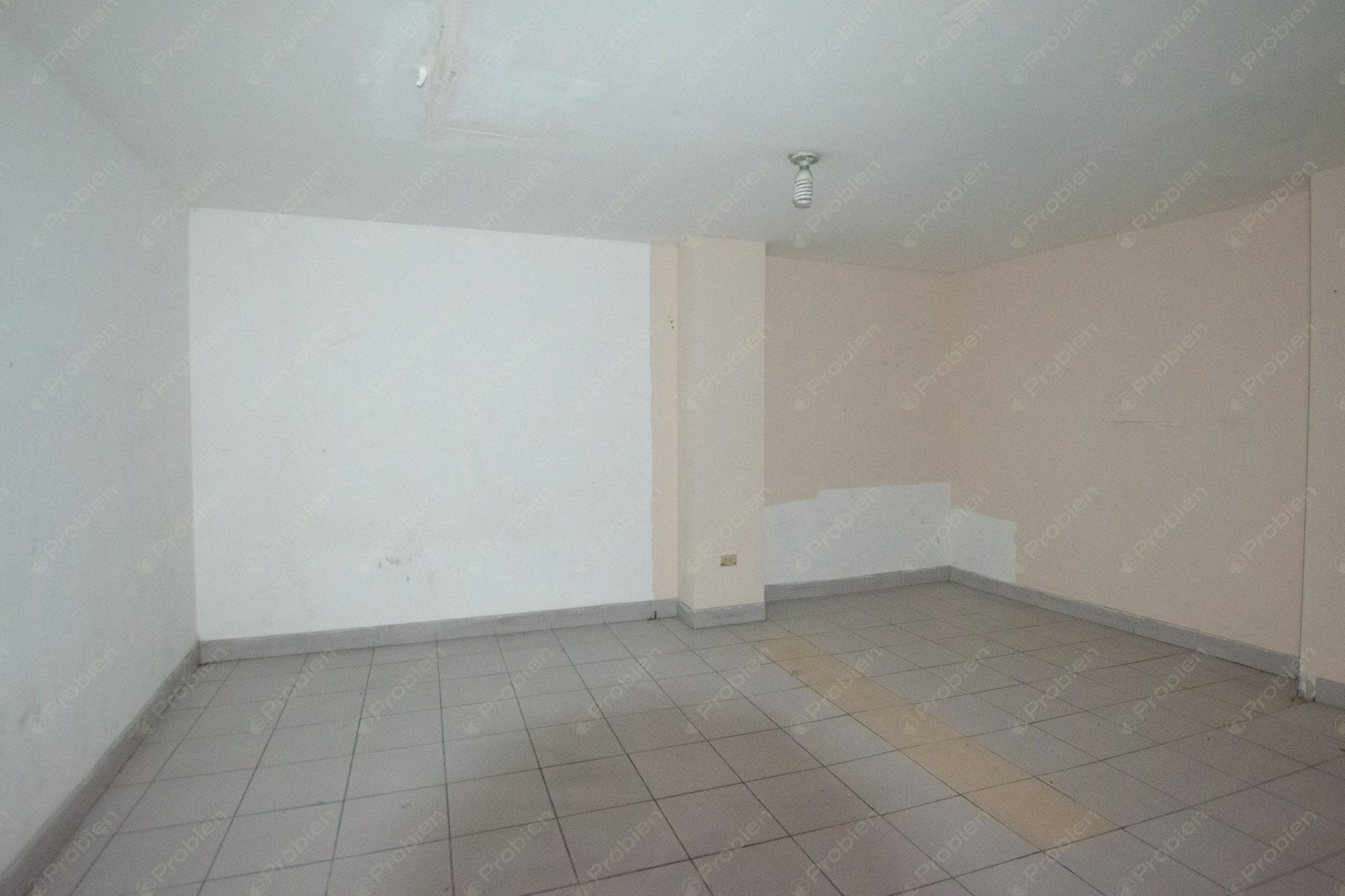 Local Comercial en Renta en Zona Centro - 214 m² - Foto 7 de 19