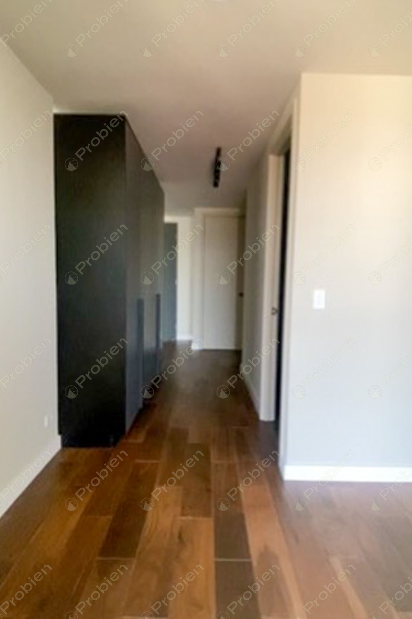 Departamento loft en renta en SIETE Revolución Zona Centro, Tijuana con amenidades - Foto 8 de 27