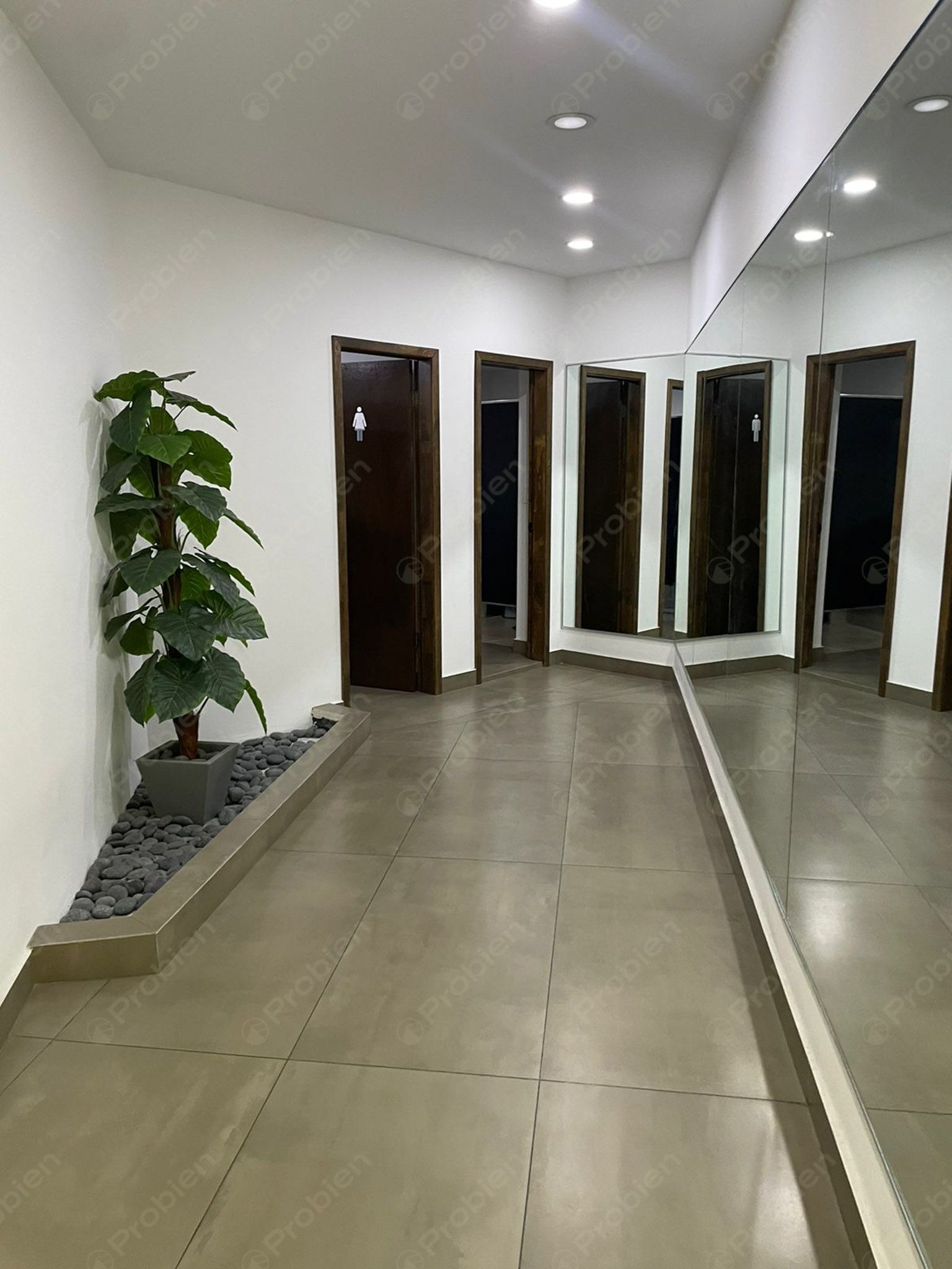 Oficina en Renta - Business Center en Zona Rio Planta Alta - Foto 3 de 19