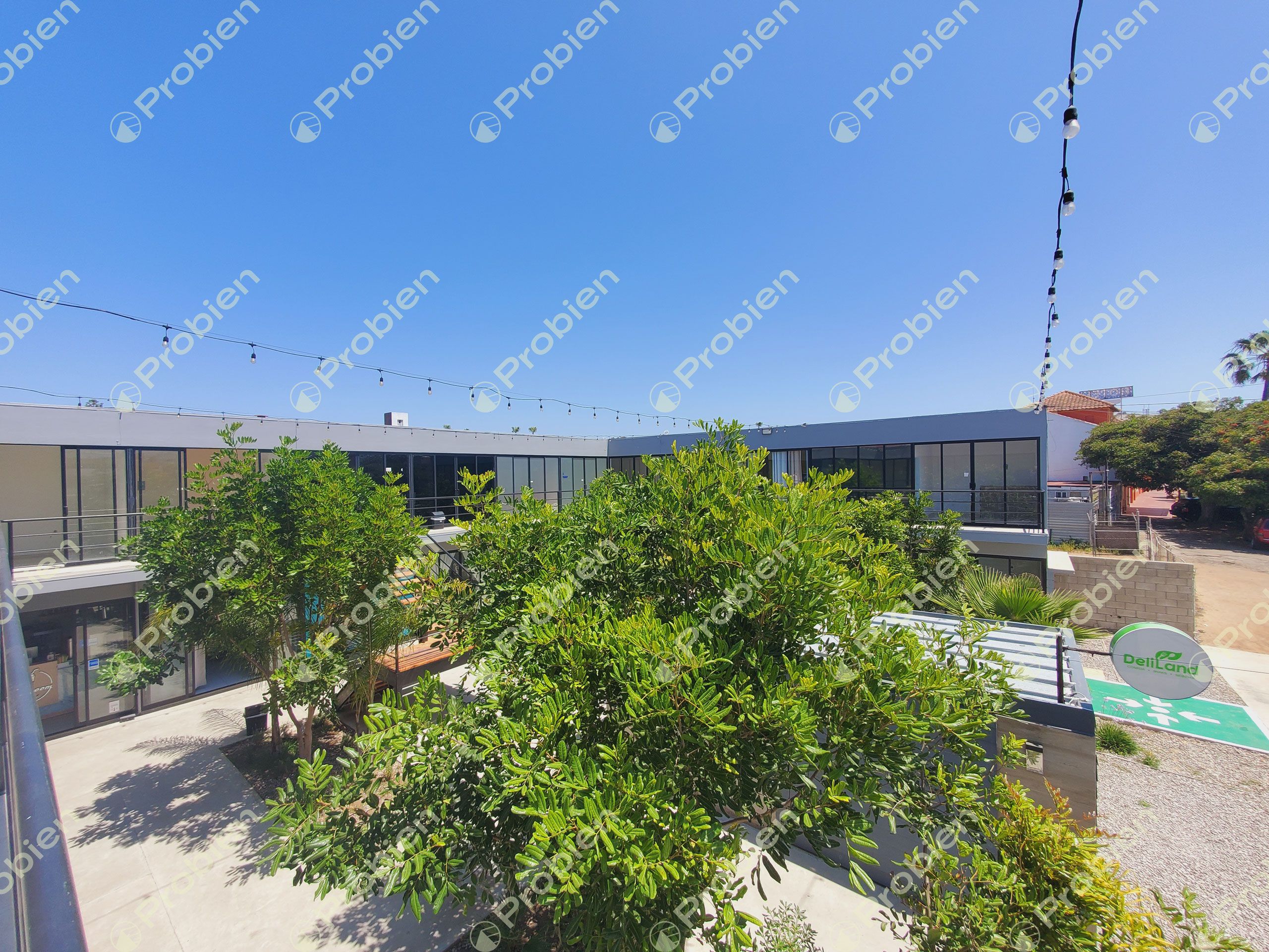 LOCALES EN RENTA - PLAZA PALMEYRAS PLAYAS DE TIJUANA