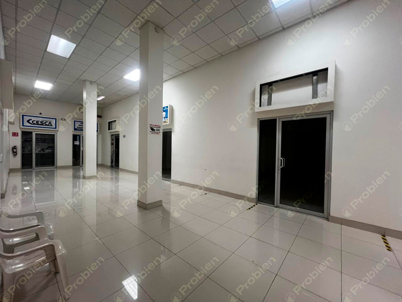 Locales en Renta - Centro Constitución - Foto 5 de 10