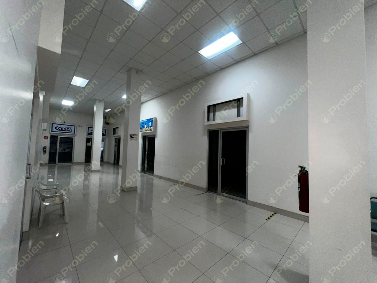 Locales en Renta - Centro Constitución - Foto 7 de 10