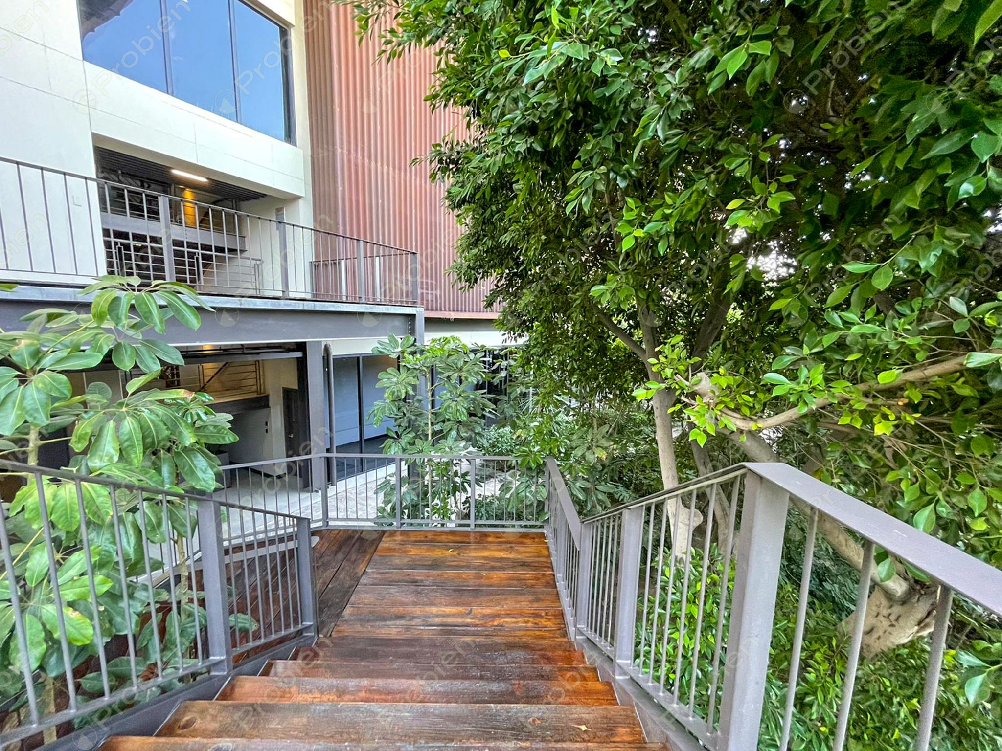 Departamento en renta en Arboleda La Cacho Tijuana con terraza y amenidades premium - Foto 9 de 18