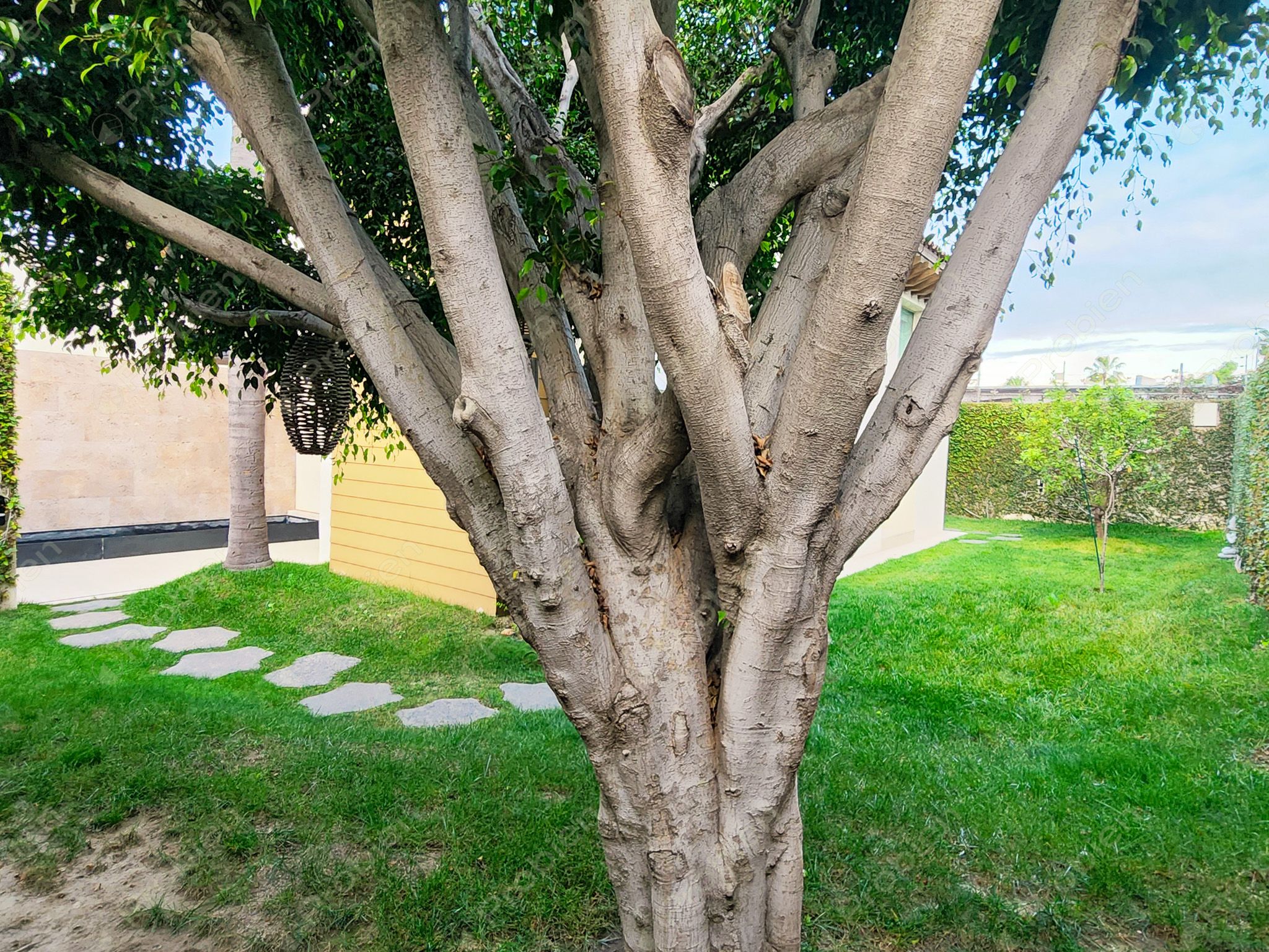 Casa en renta en Lomas de Agua Caliente, residencia de lujo con amplios espacios en Tijuana - Foto 15 de 34