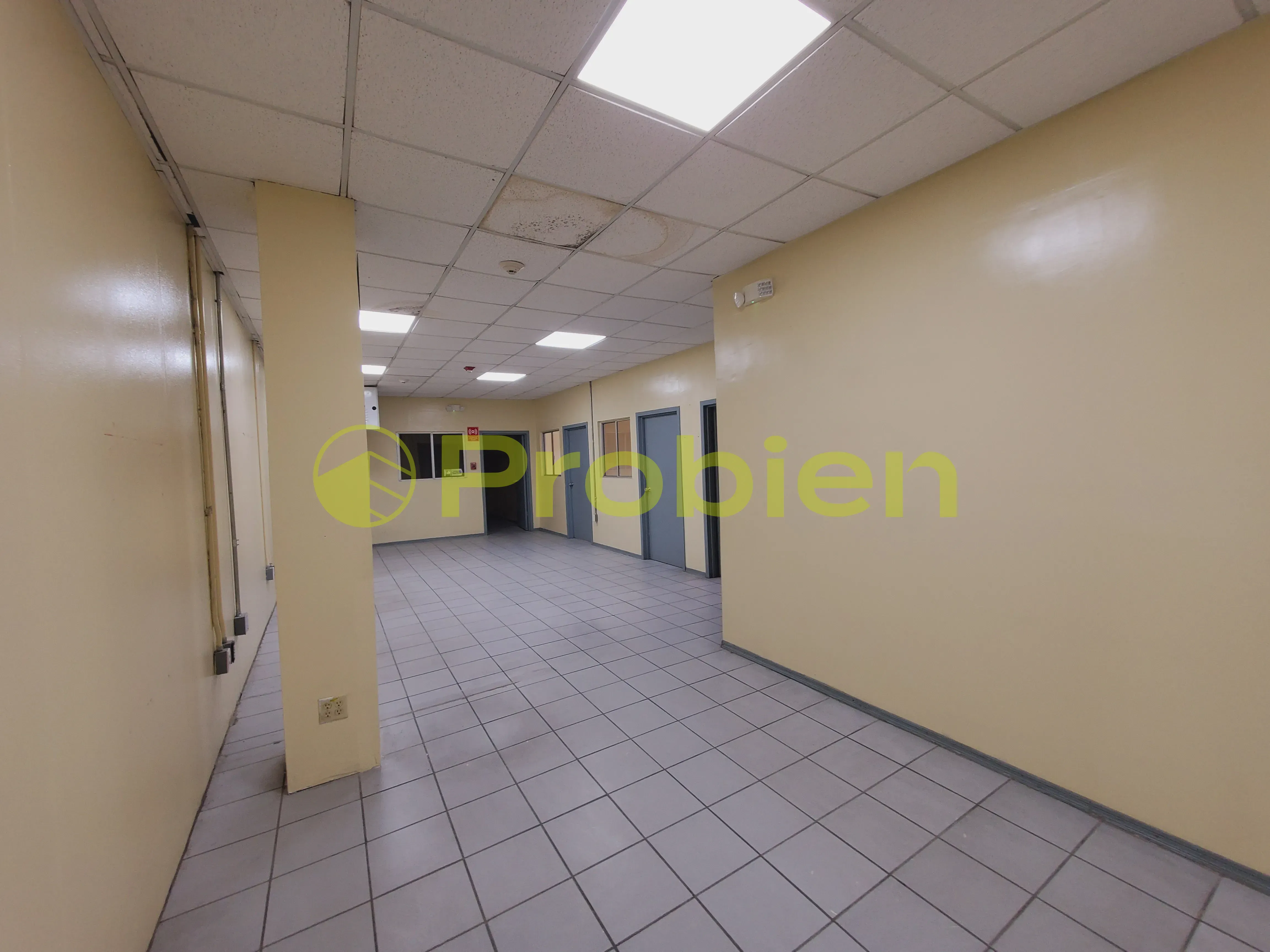 Bodegas en Renta - La Gloria - Foto 4 de 14