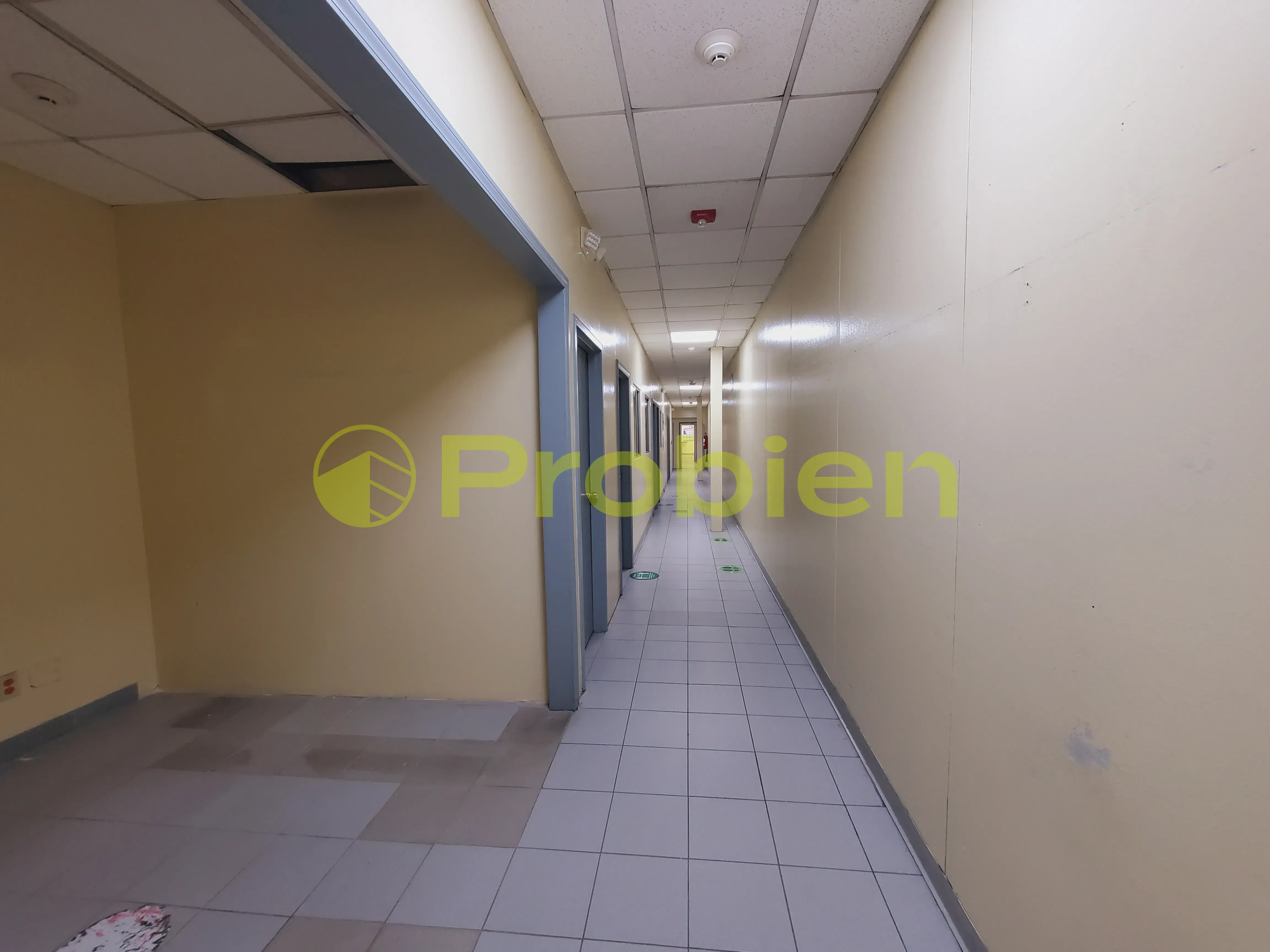 Bodegas en Renta - La Gloria - Foto 7 de 14