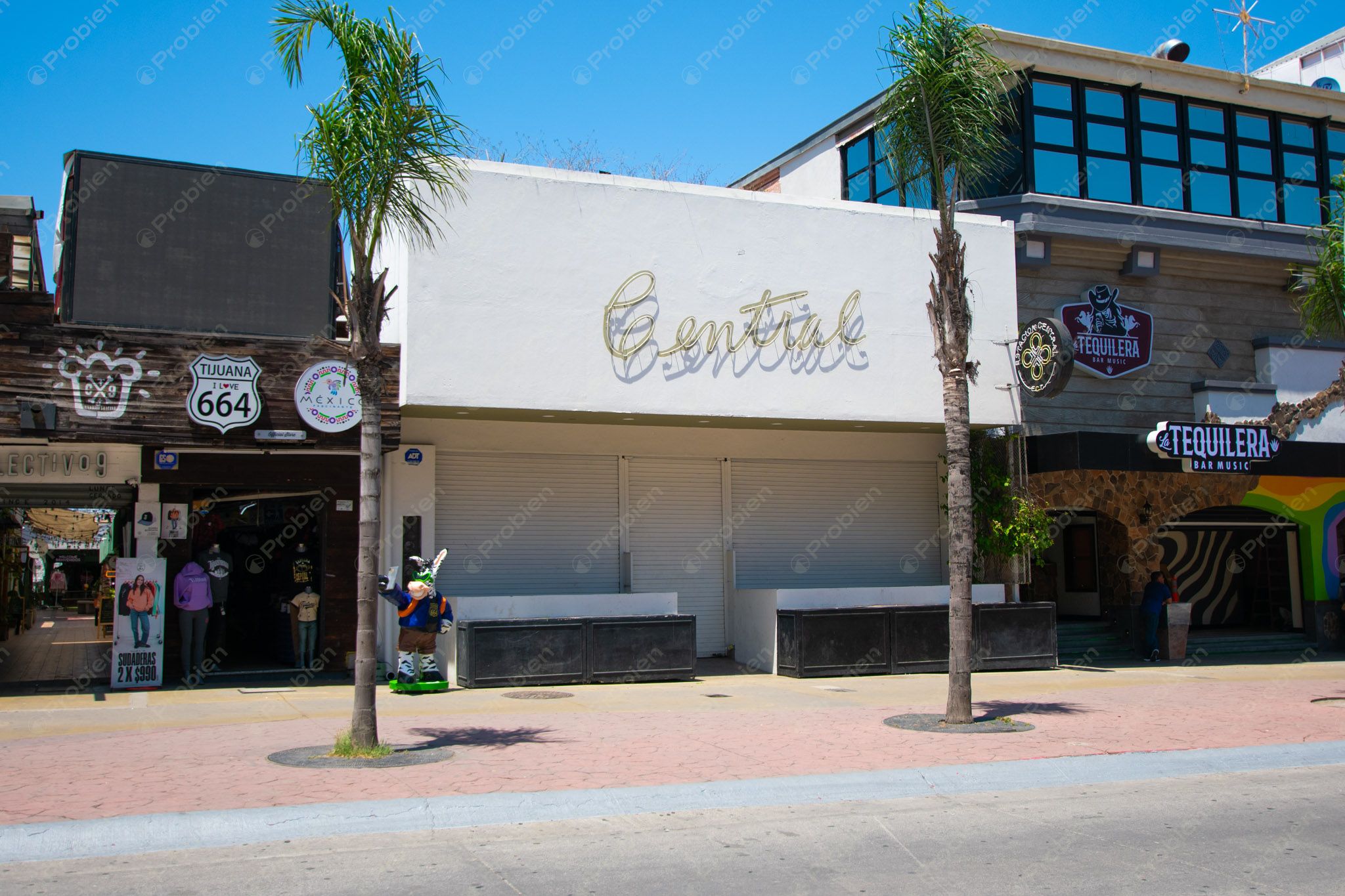 Local Comercial en Renta en Avenida Revolución – ¡Ubicación Estratégica! - Foto 3 de 22