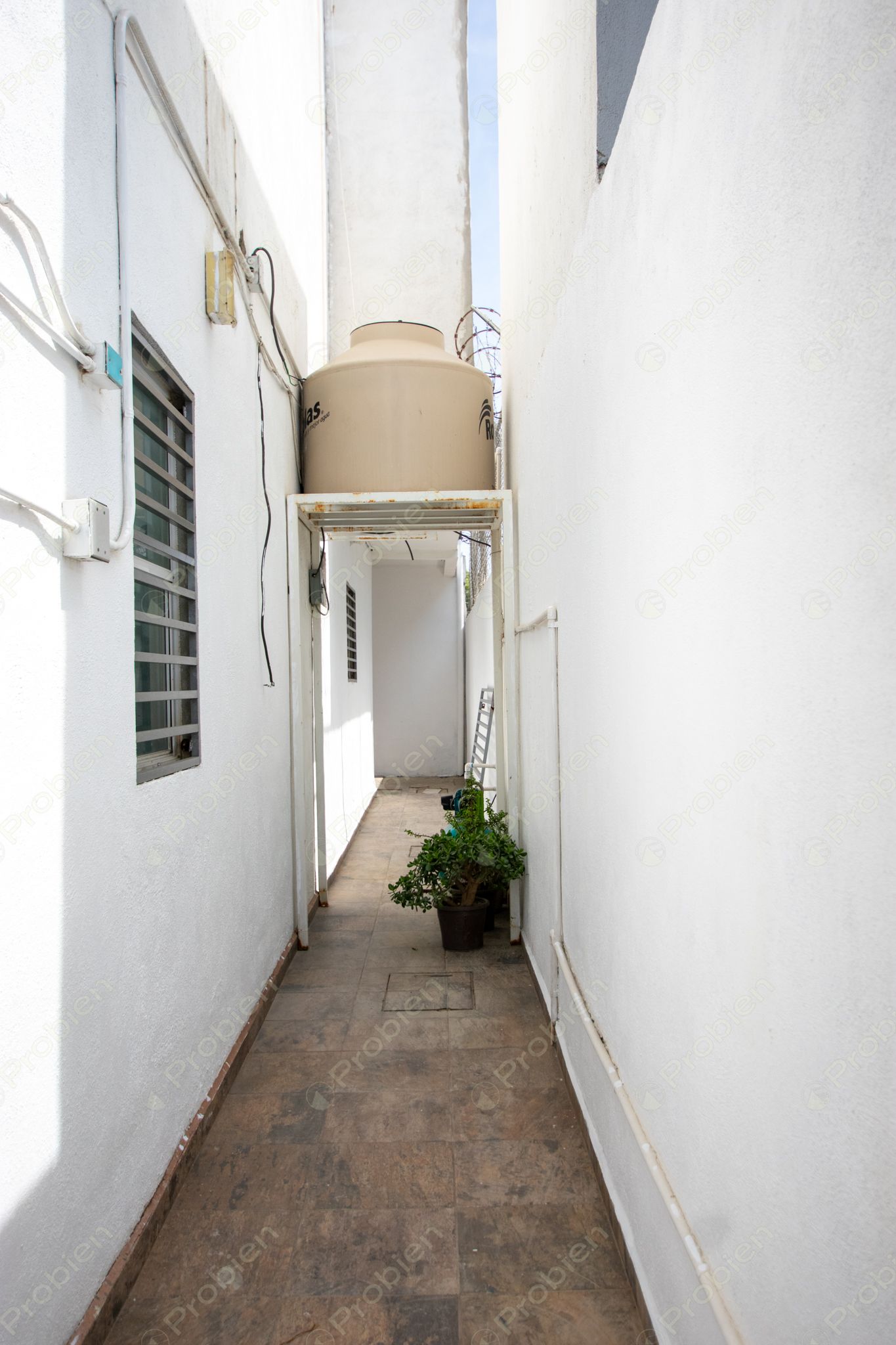 Casa en Renta en Vista Hermosa – Seguridad, Ubicación y Espacios Amplios - Foto 37 de 37