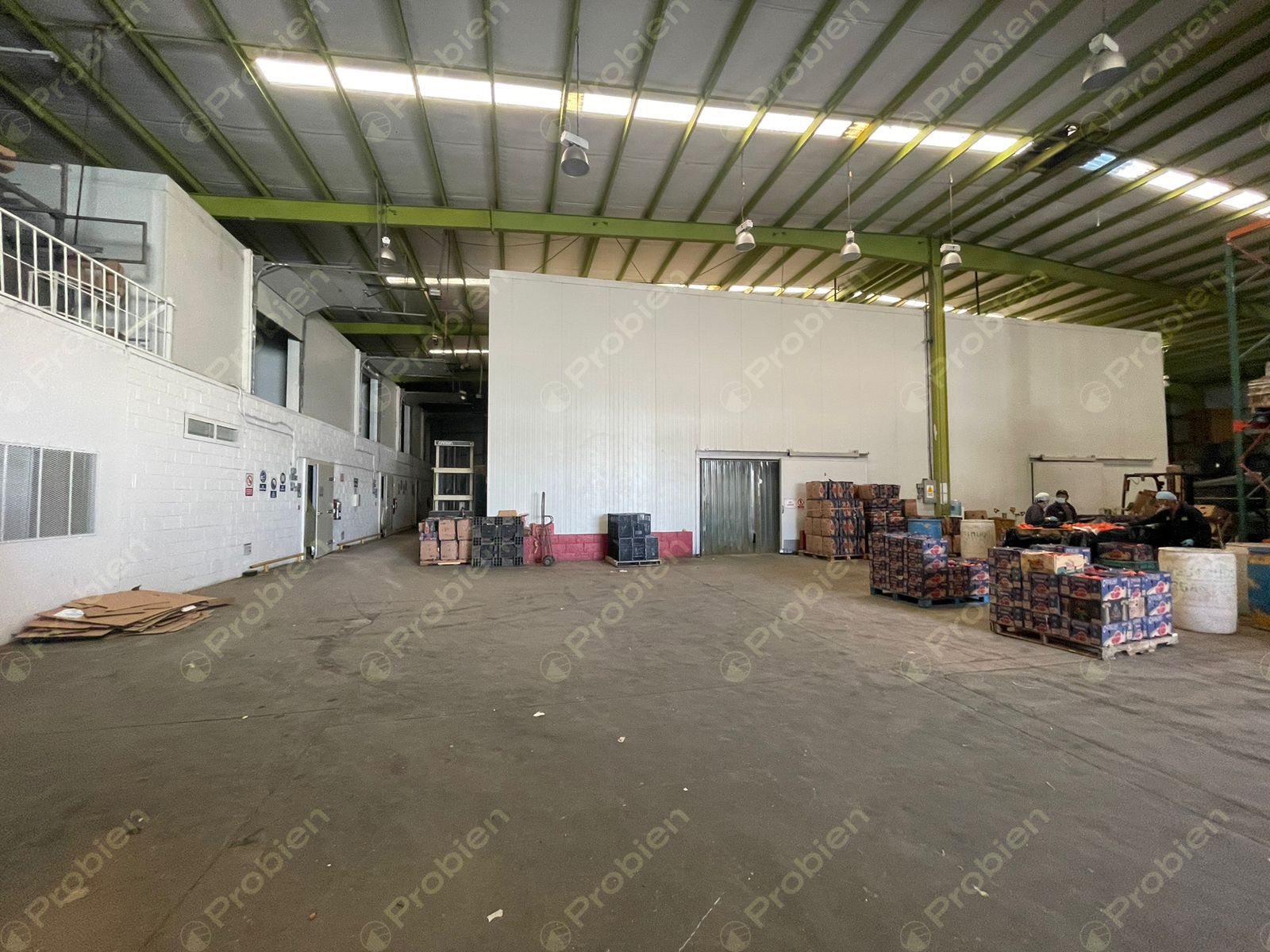 Bodega en Renta en Via Rápida Zona Rio 3ra etapa - Foto 4 de 16