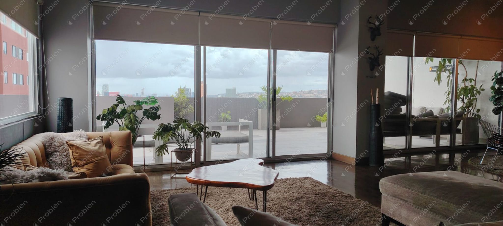 Departamento en Renta en Torre Kyo Hipódromo 1 – Equipado y con Amenidades - Foto 13 de 18