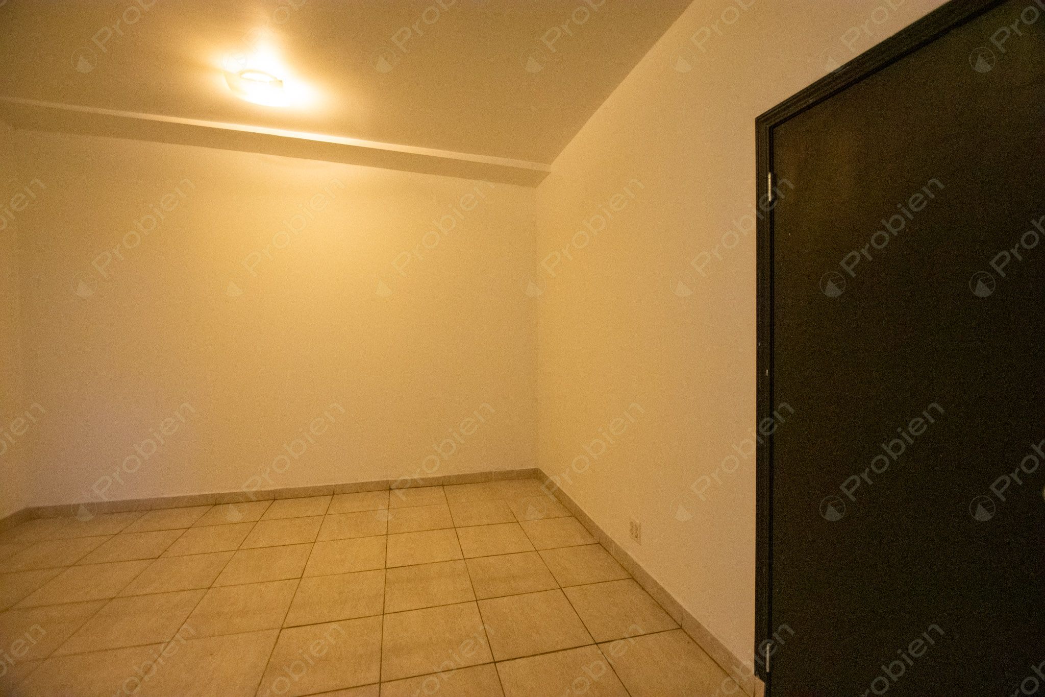 Bodega / Local en Renta sobre Vialidad Principal en Otay – 400 m² con Gran Potencial Comercial - Foto 14 de 16