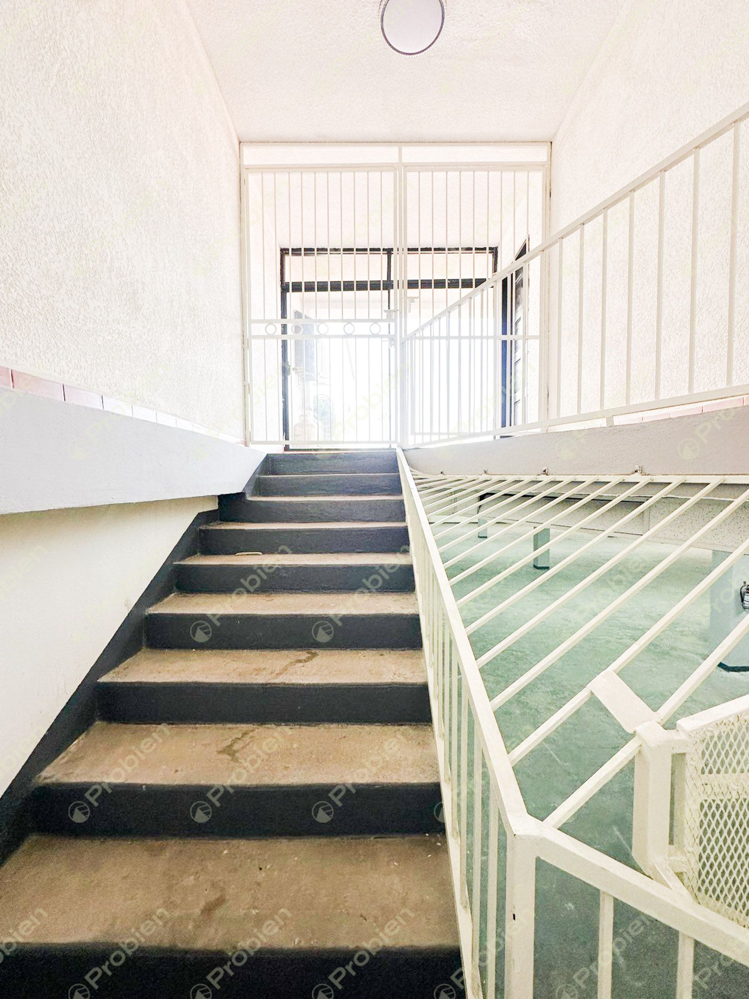 Local Comercial en Renta sobre Paseo Playas de Tijuana – Alta Visibilidad y 1,200 m² - Foto 10 de 19