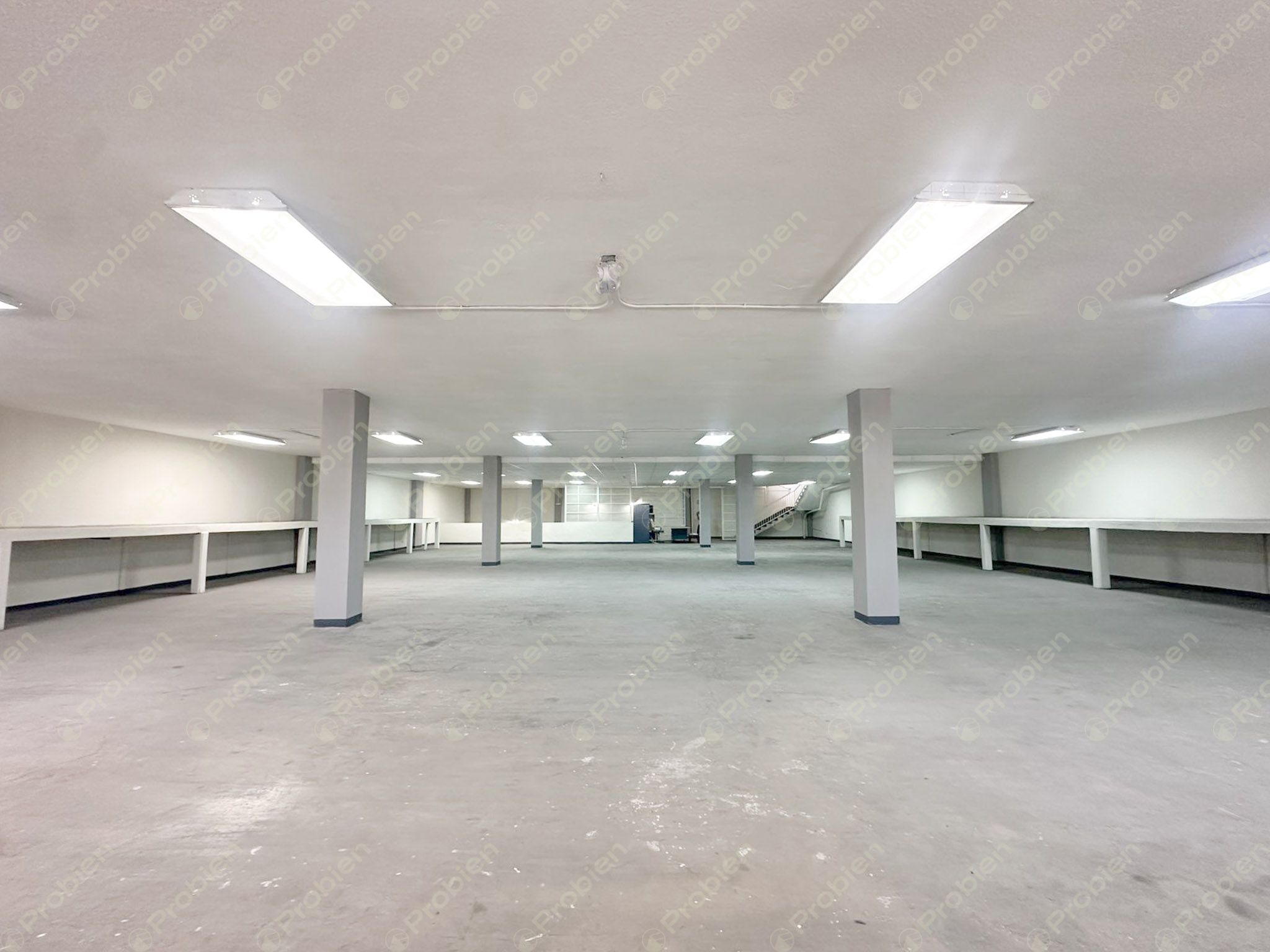 Local Comercial en Renta sobre Paseo Playas de Tijuana – Alta Visibilidad y 1,200 m² - Foto 13 de 19