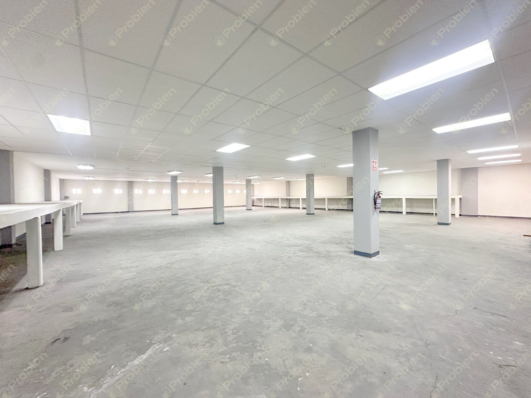 Local Comercial en Renta sobre Paseo Playas de Tijuana – Alta Visibilidad y 1,200 m² - Foto 17 de 19