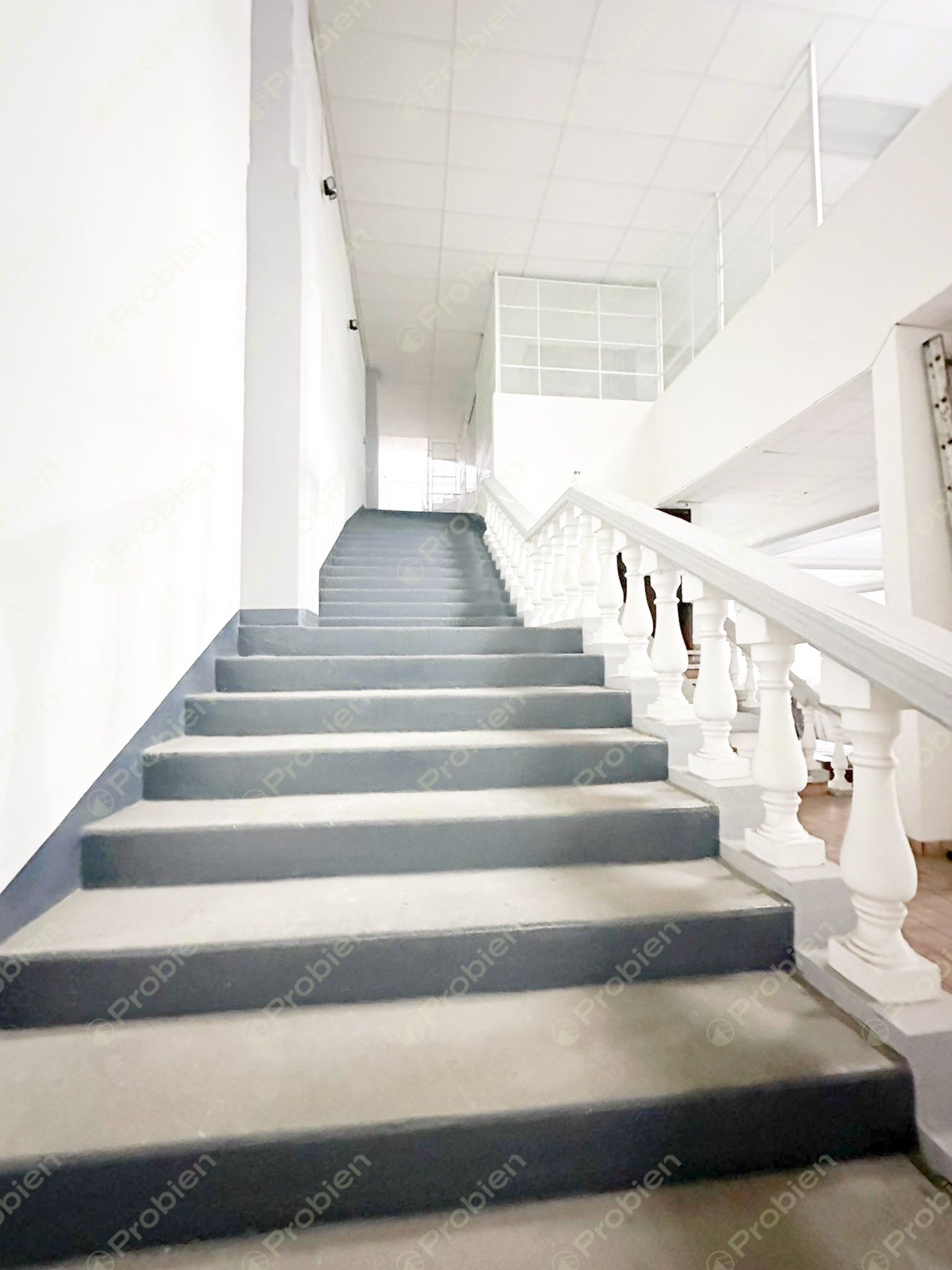 Local Comercial en Renta sobre Paseo Playas de Tijuana – Alta Visibilidad y 1,200 m² - Foto 7 de 19