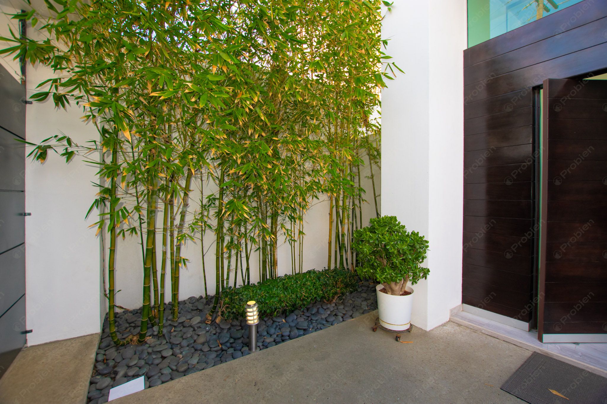 Exclusiva Casa de Lujo en Venta en Colonia Cacho - Foto 3 de 32