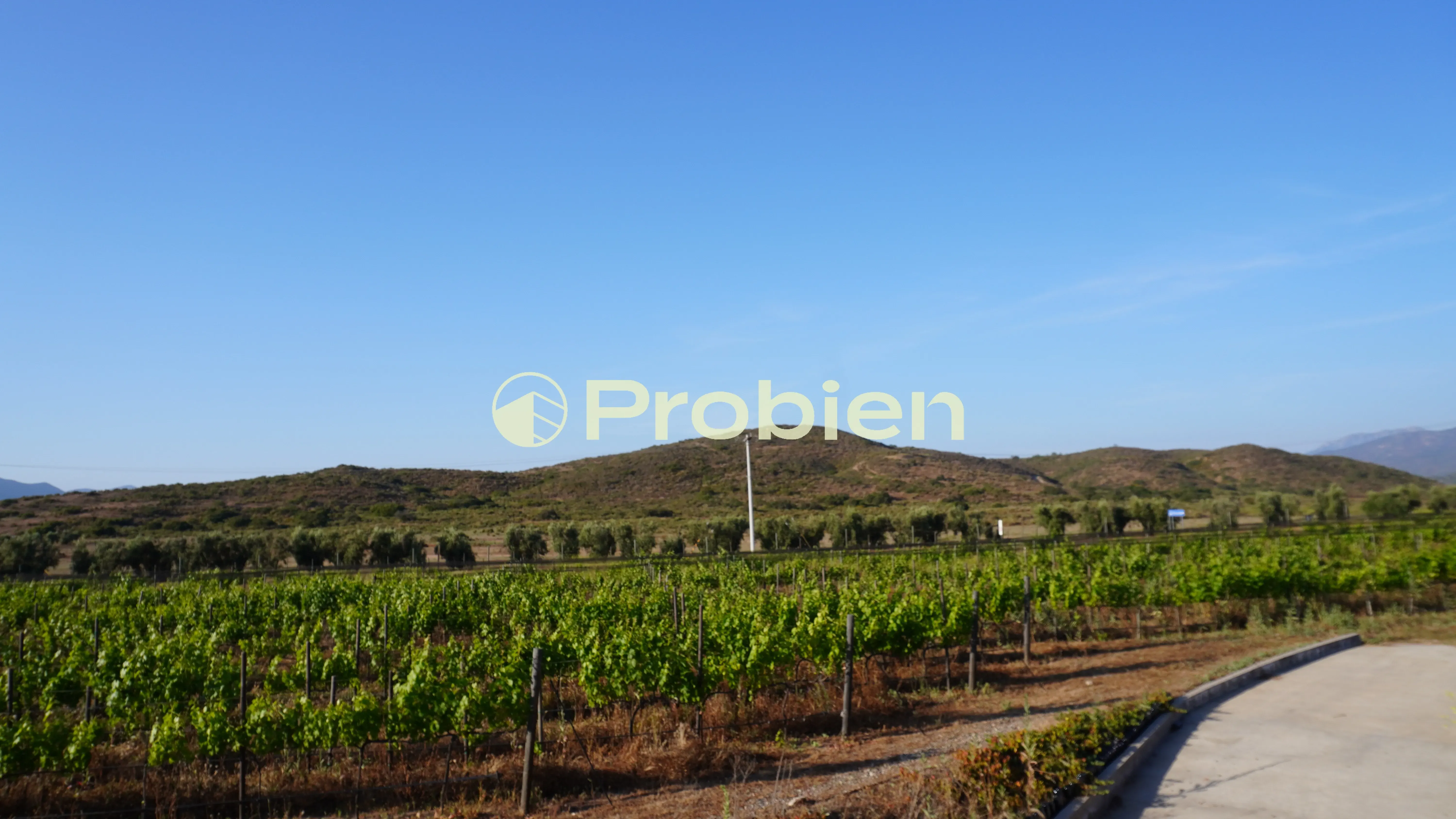 Vinicola en Venta - Valle de Guadalupe - Foto 6 de 17