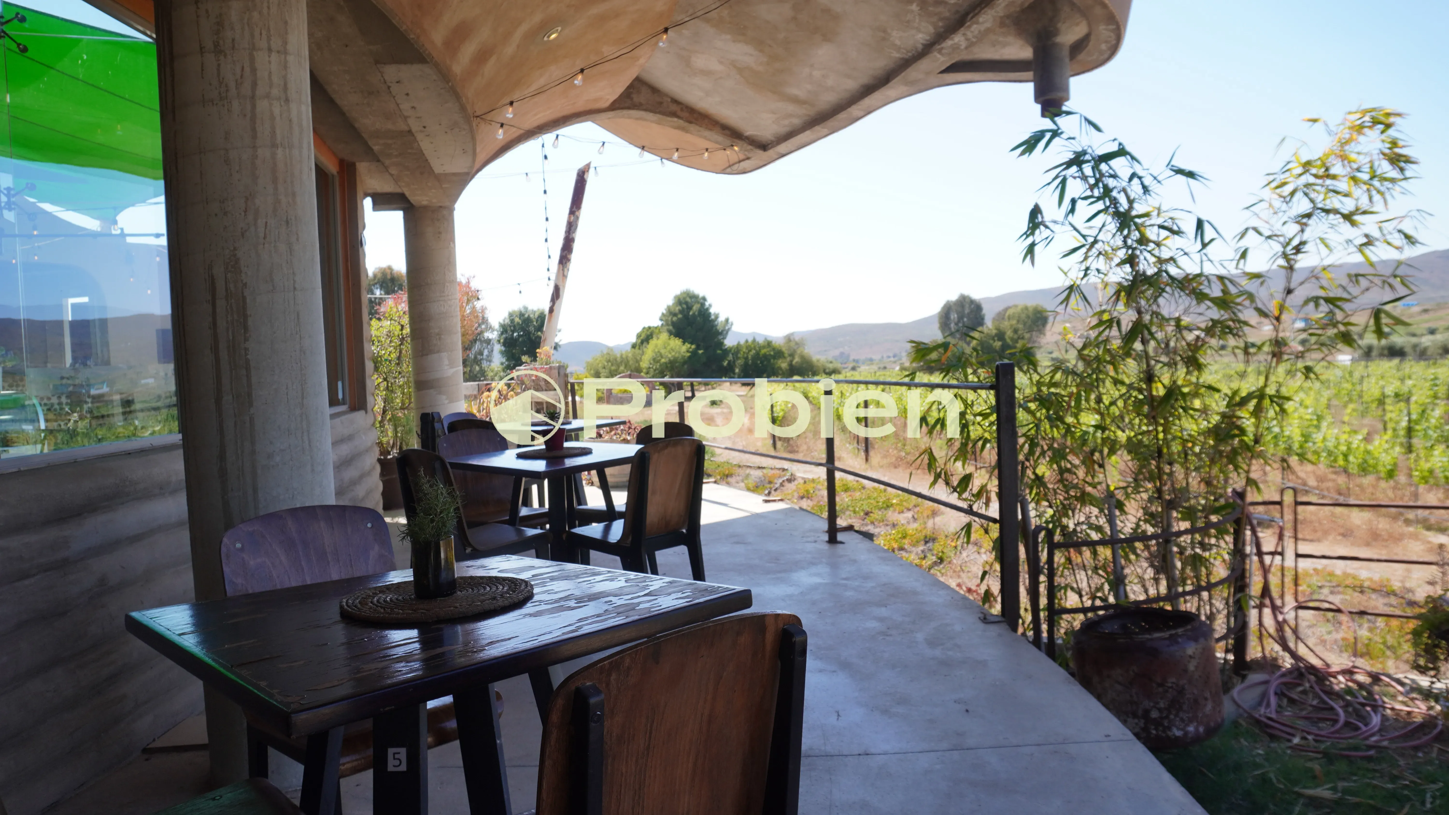 Vinicola en Venta - Valle de Guadalupe - Foto 9 de 17